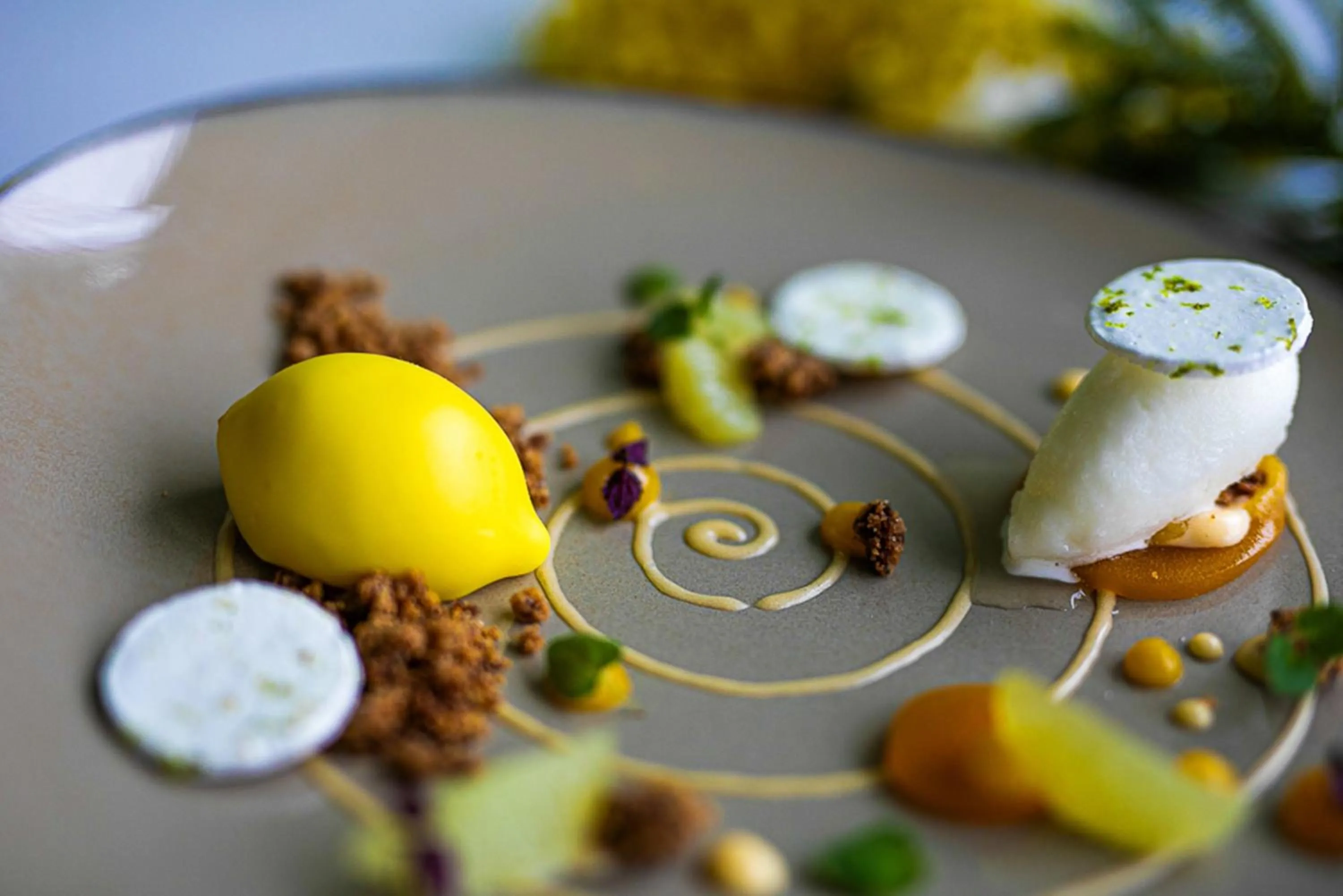 Restaurant/places to eat in Hotel du Léman - Jongny