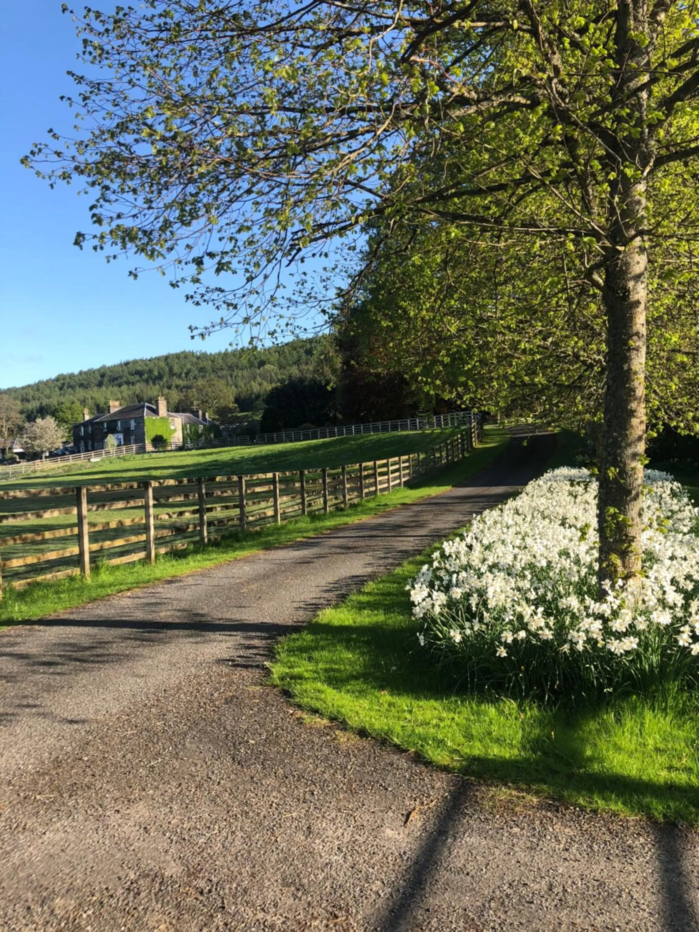 The Old Manse of Blair, Boutique Hotel & Restaurant