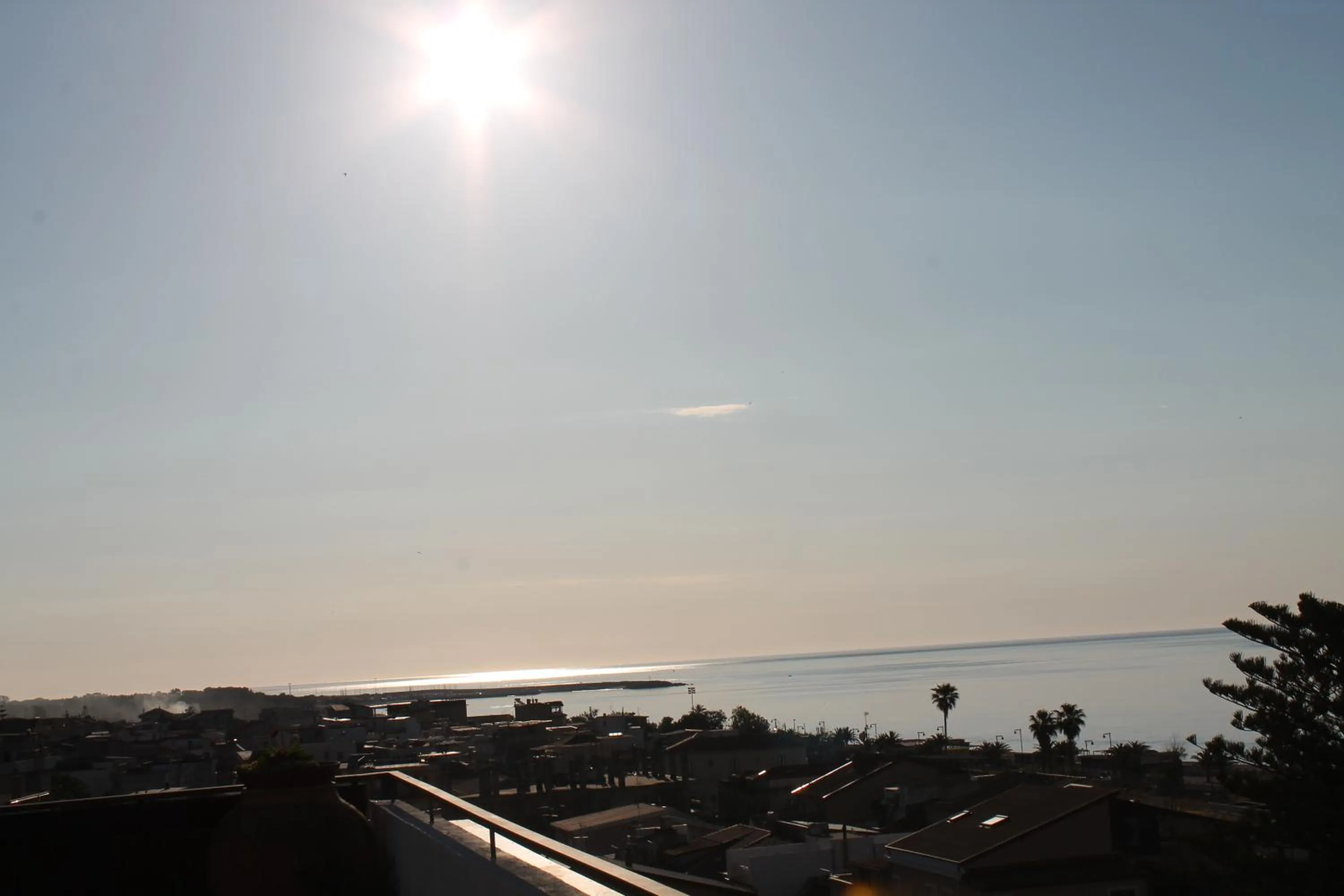 Balcony/Terrace in Hotel Mediterraneo
