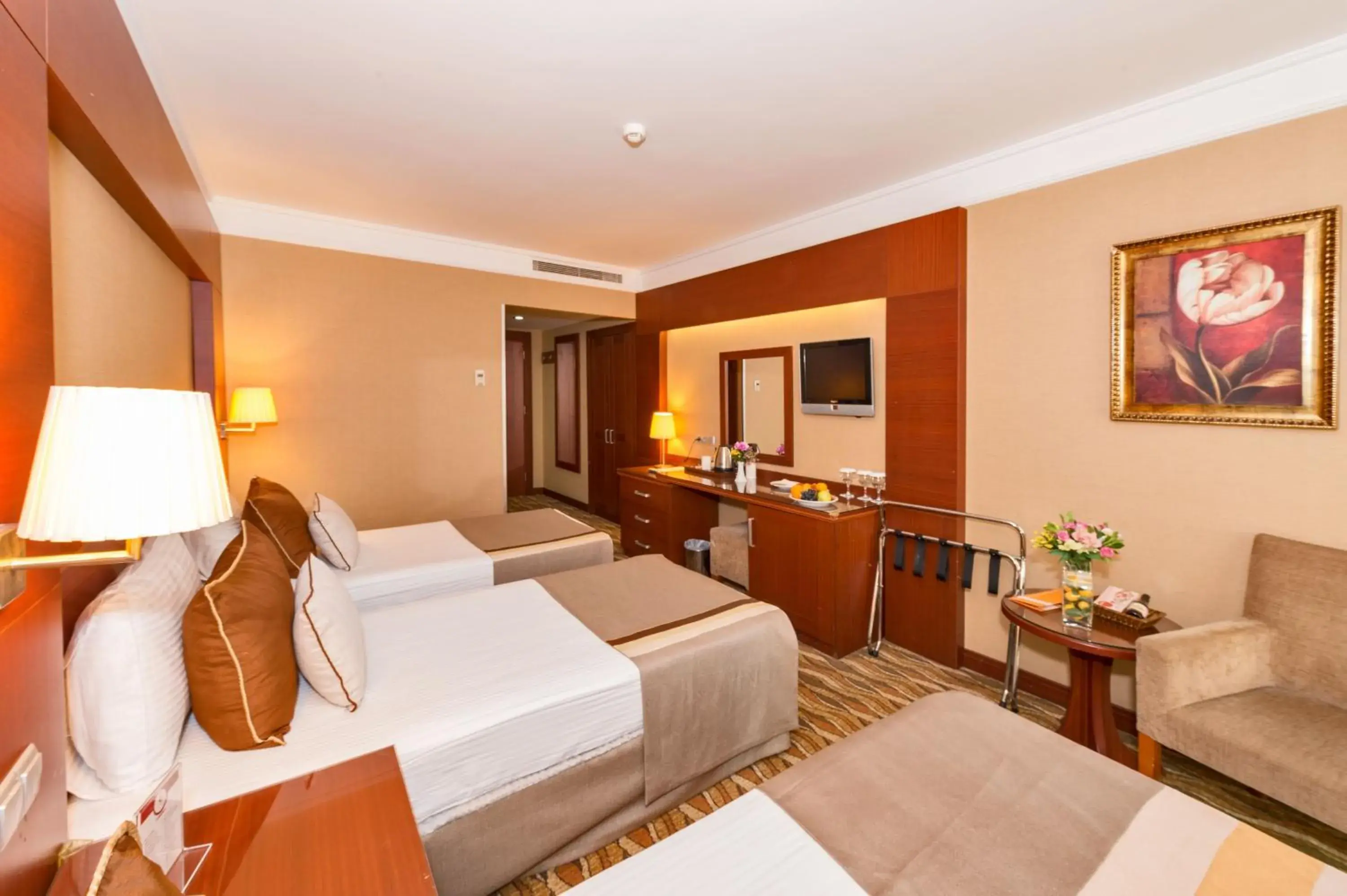 Triple Room in Vicenza Hotel Istanbul Old City Triple Room in Vicenza Hotel Istanbul Old City