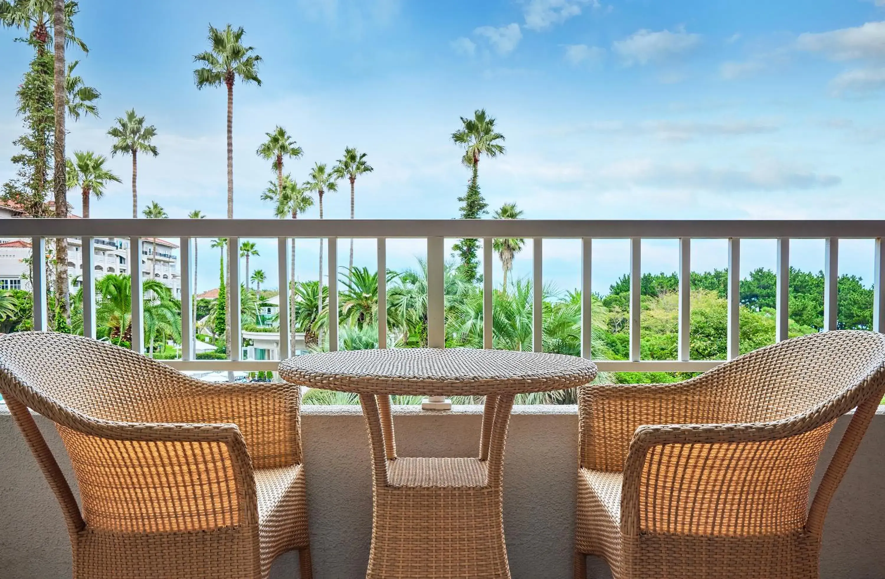 View (from property/room) in The Shilla Jeju View (from property/room) in The Shilla Jeju