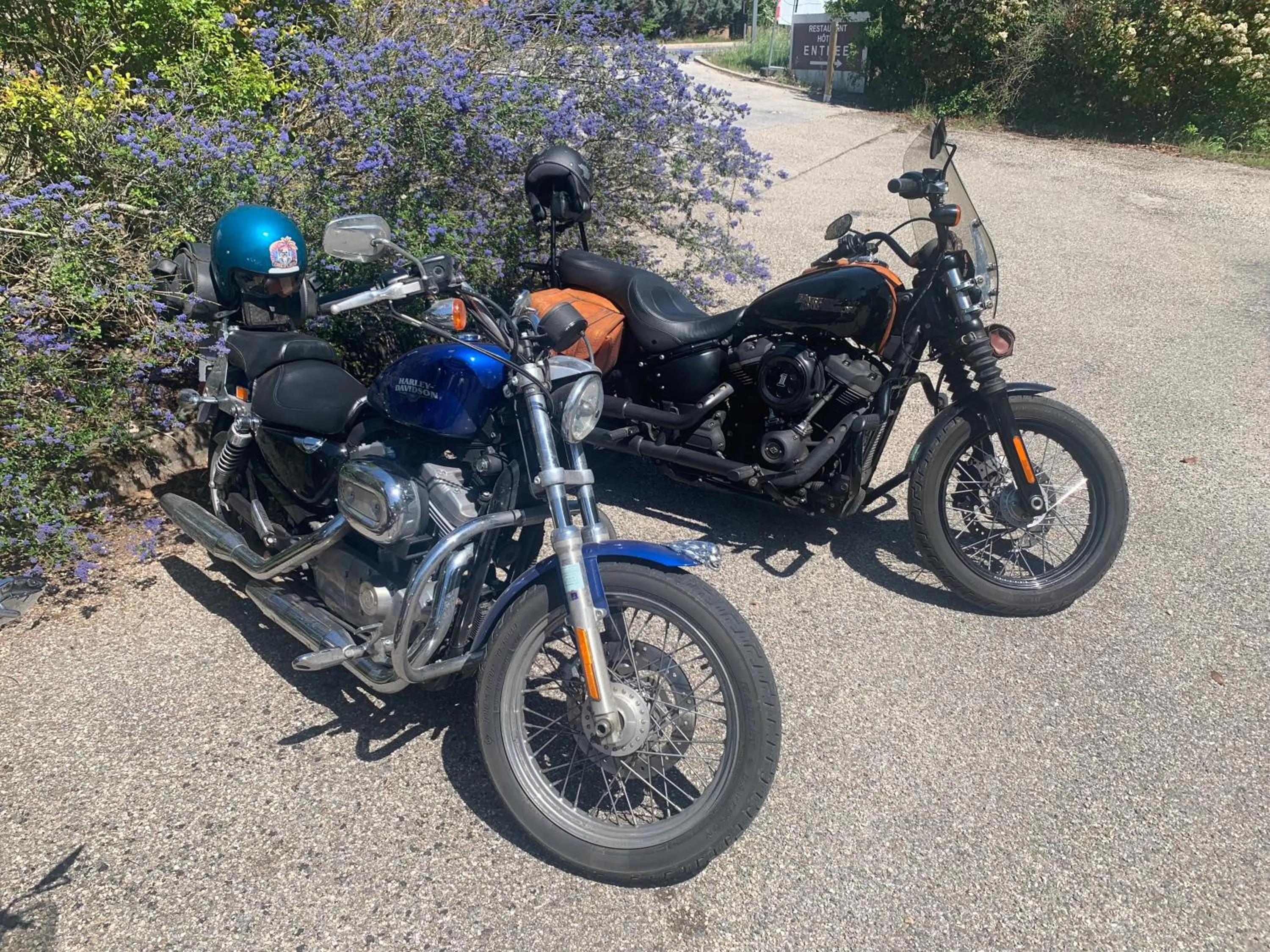 HUMAN HOTEL RESIDENCE ex esparrus