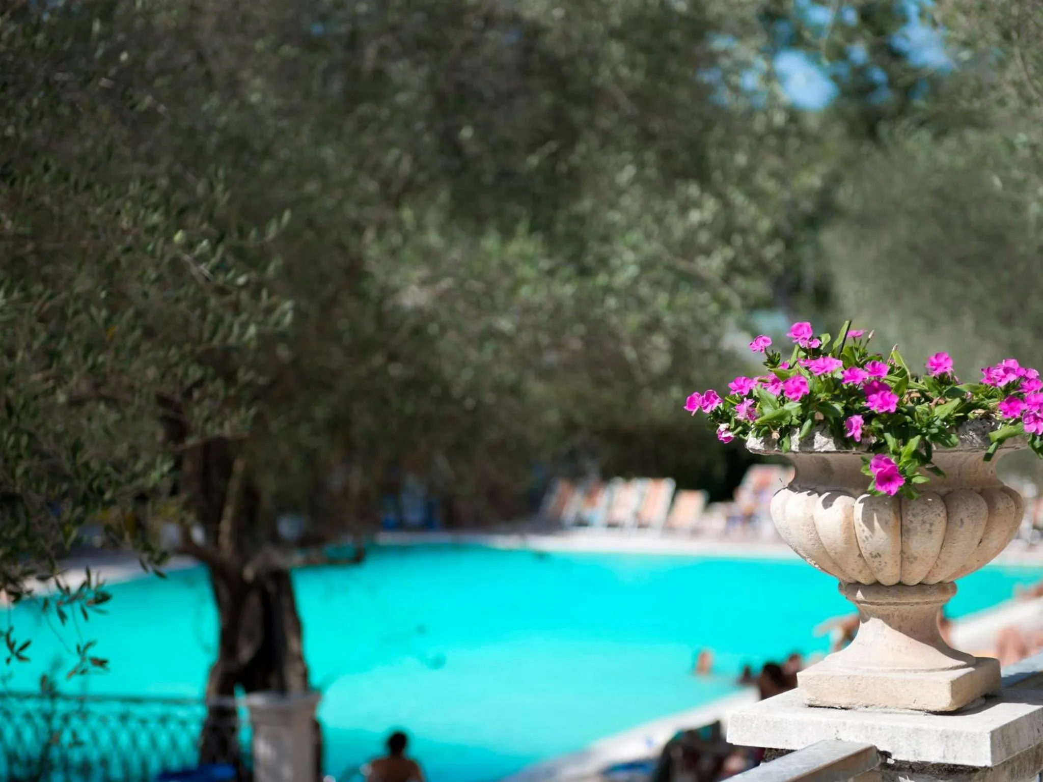 Swimming pool in Albergo Terme Forlenza