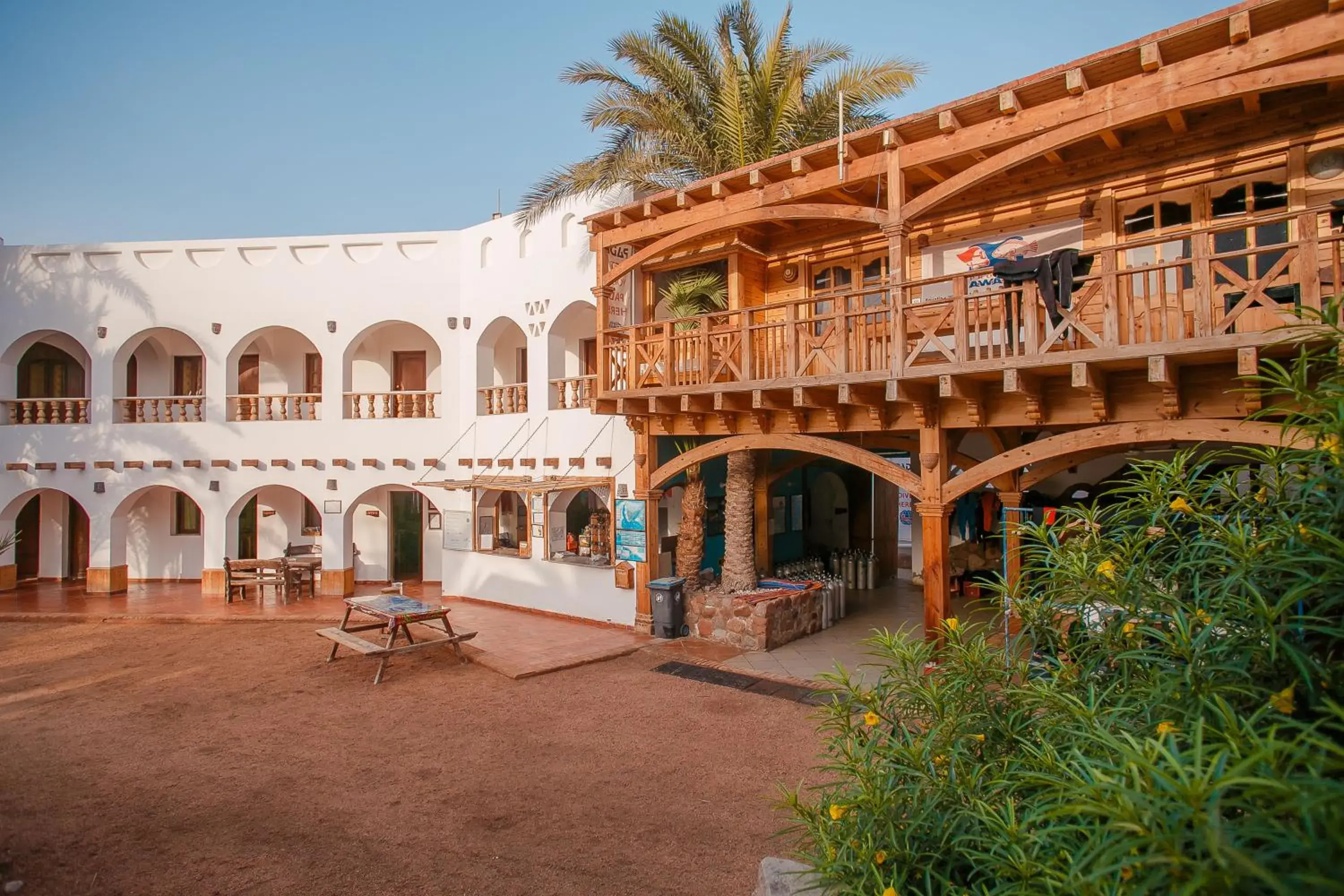 Dahab Divers Dahab Divers