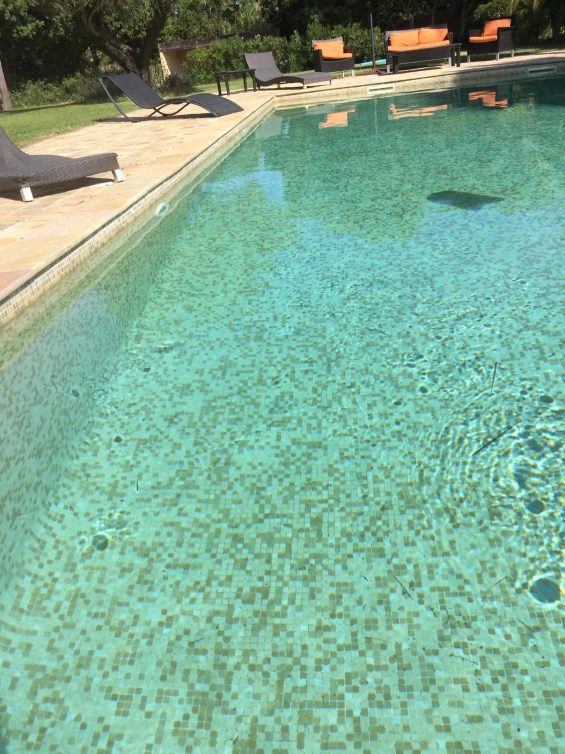 Swimming pool in Clos des Vignes Pampelonne Vineyard