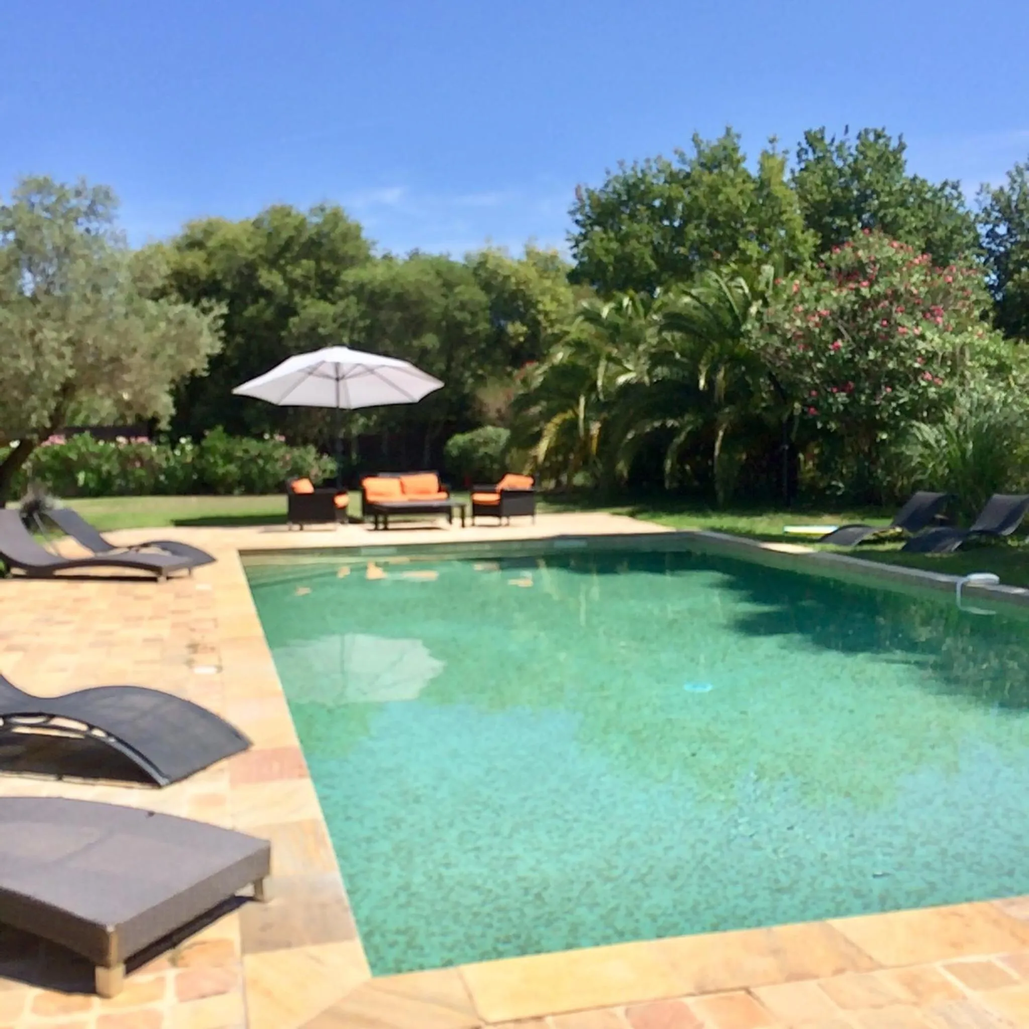 Pool view in Clos des Vignes Pampelonne Vineyard