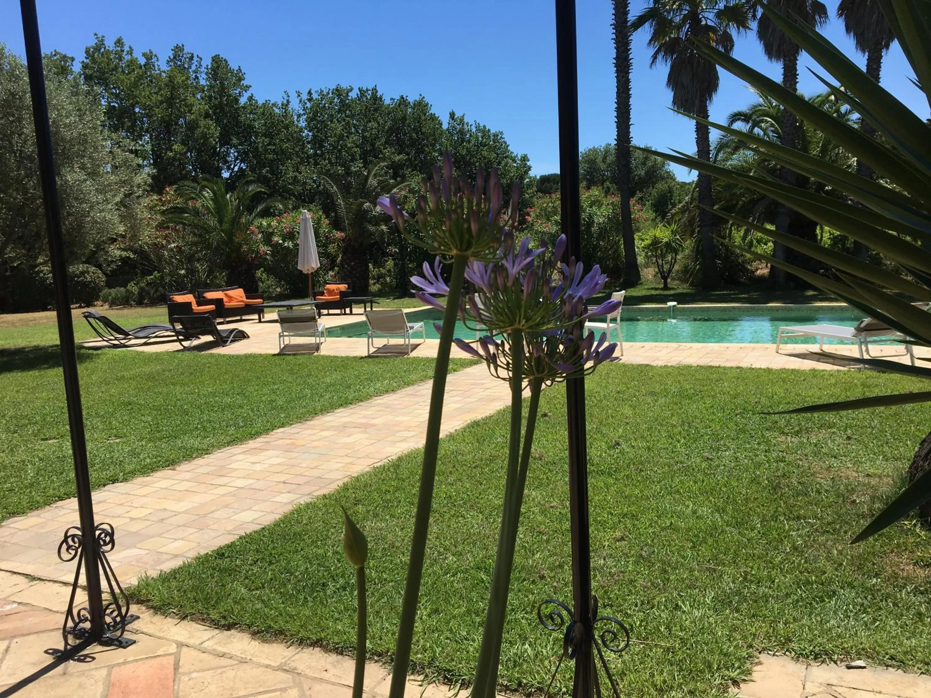 Clos des Vignes Pampelonne Vineyard