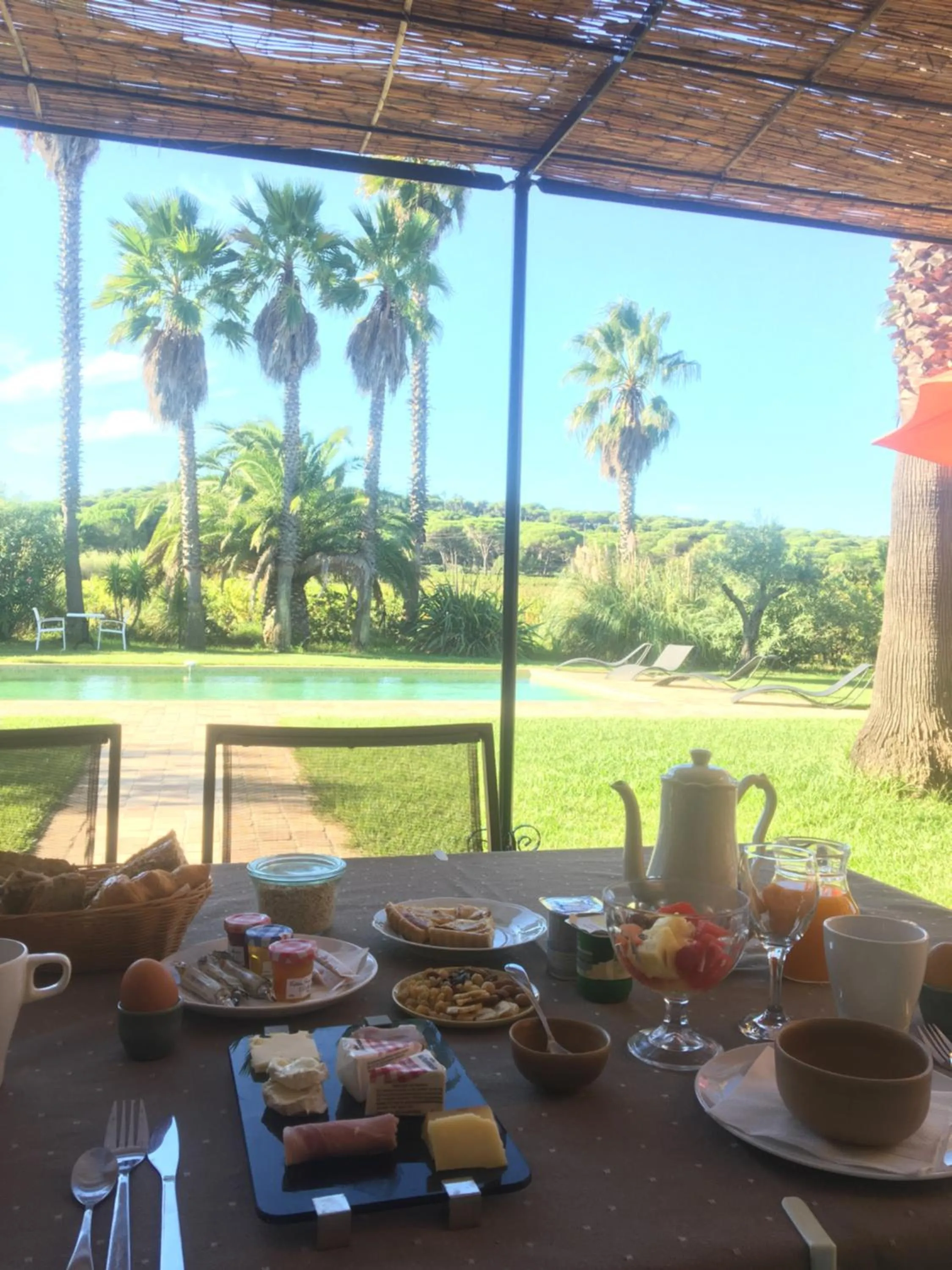 Clos des Vignes Pampelonne Vineyard