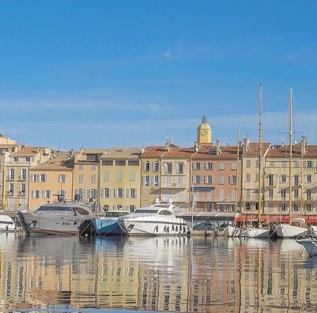 Activities in Clos des Vignes Pampelonne Vineyard