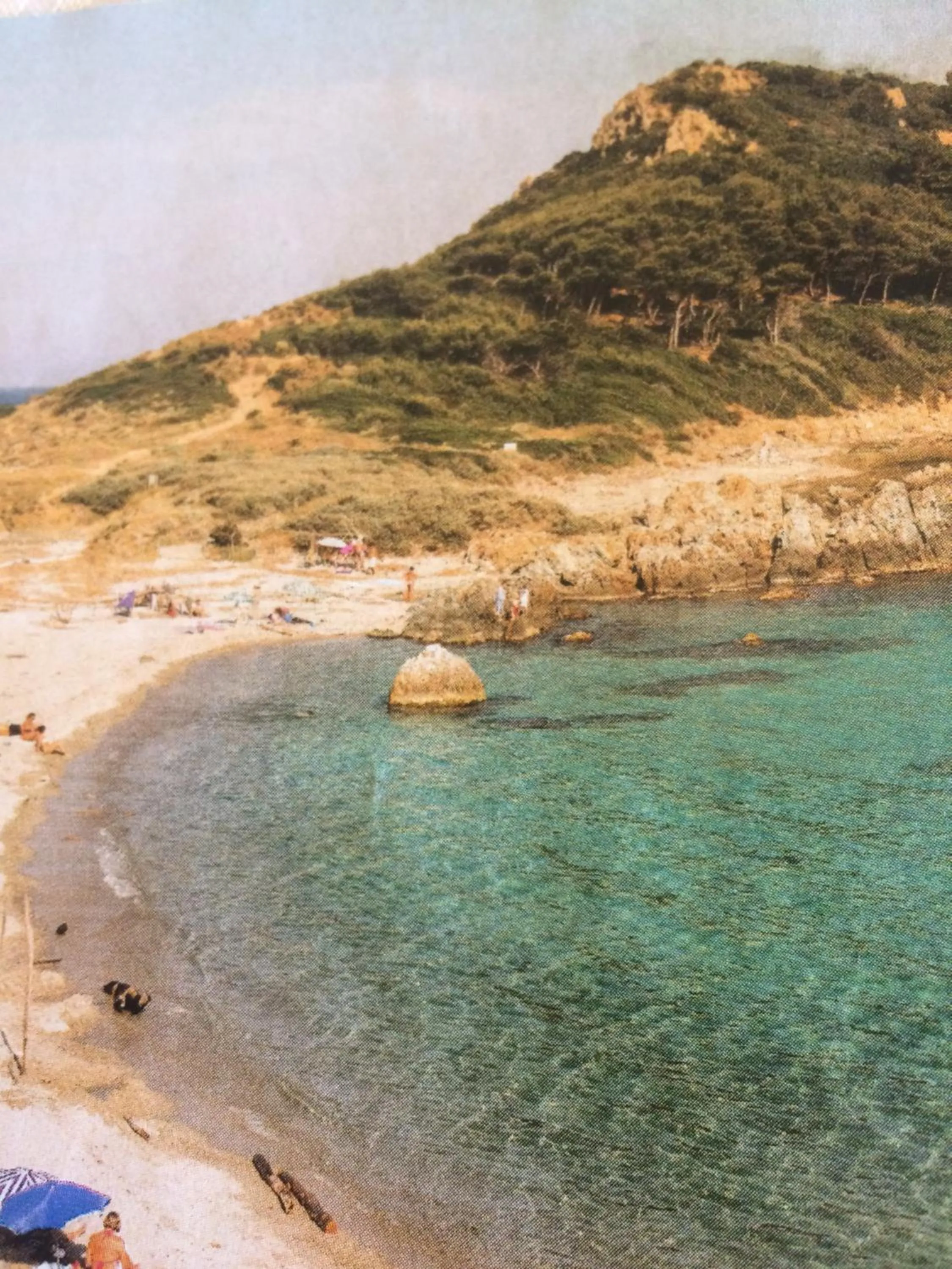 Spring in Clos des Vignes Pampelonne Vineyard
