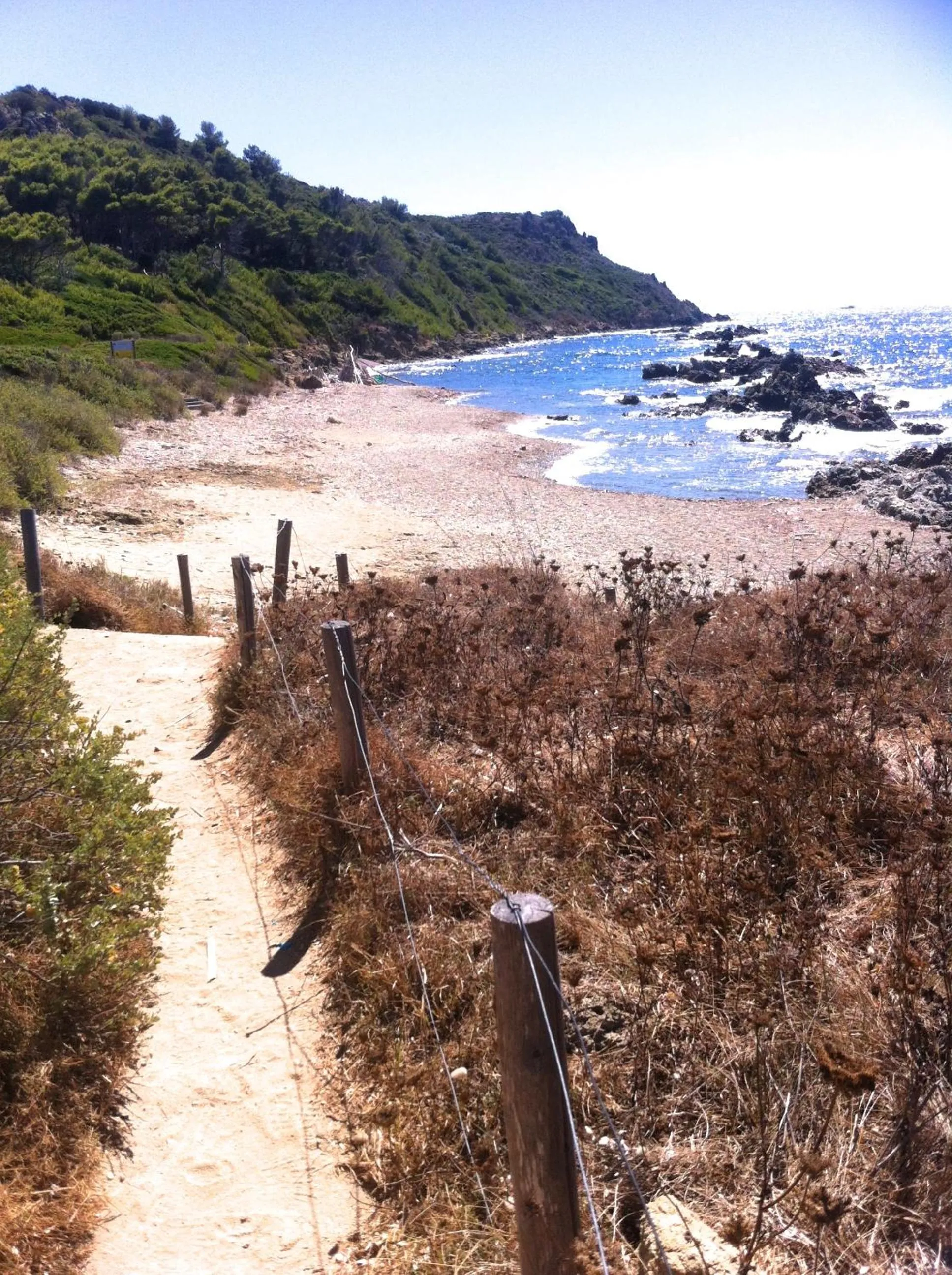 Day in Clos des Vignes Pampelonne Vineyard