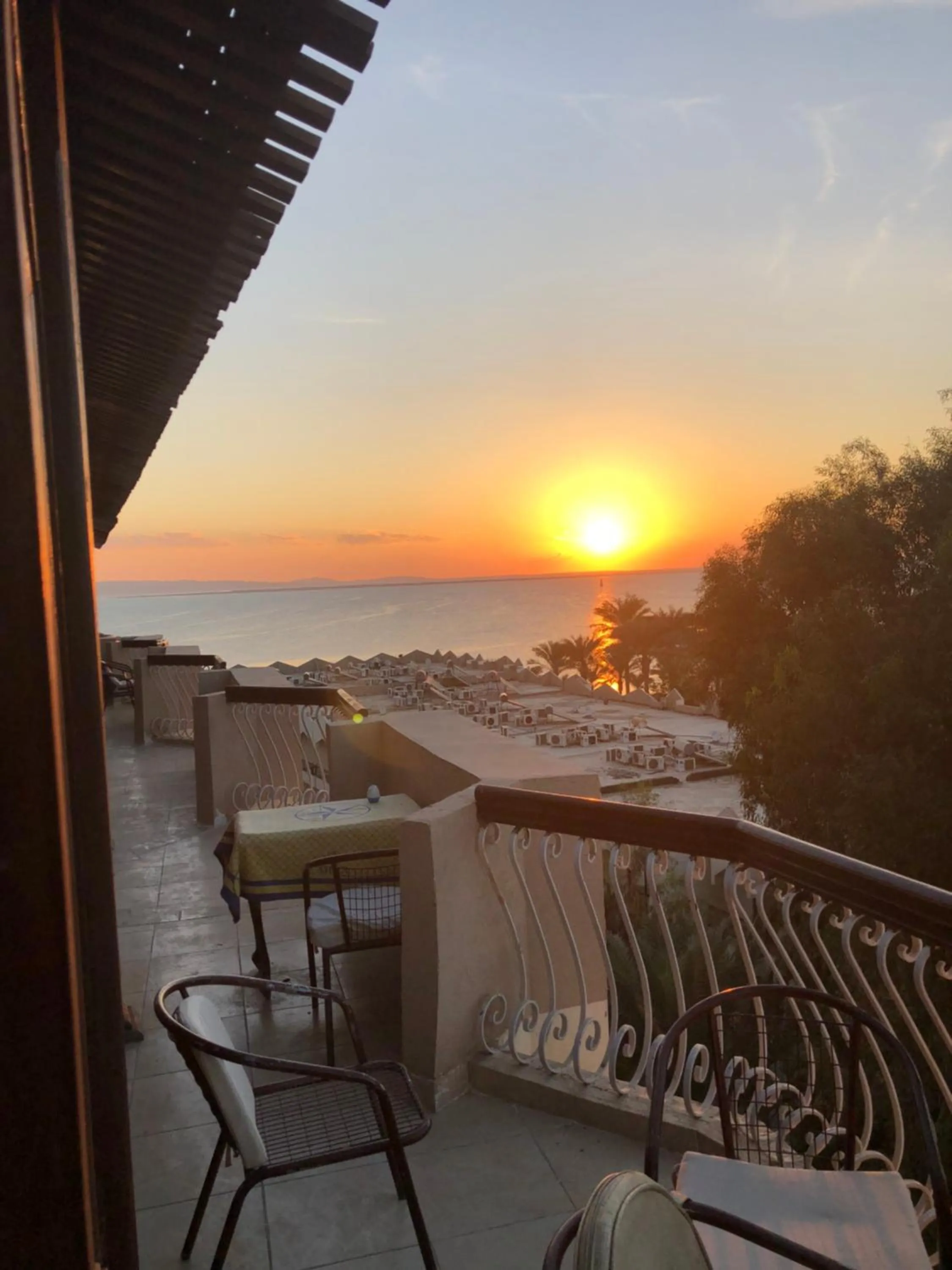 Balcony/Terrace in Golden Rose Hotel