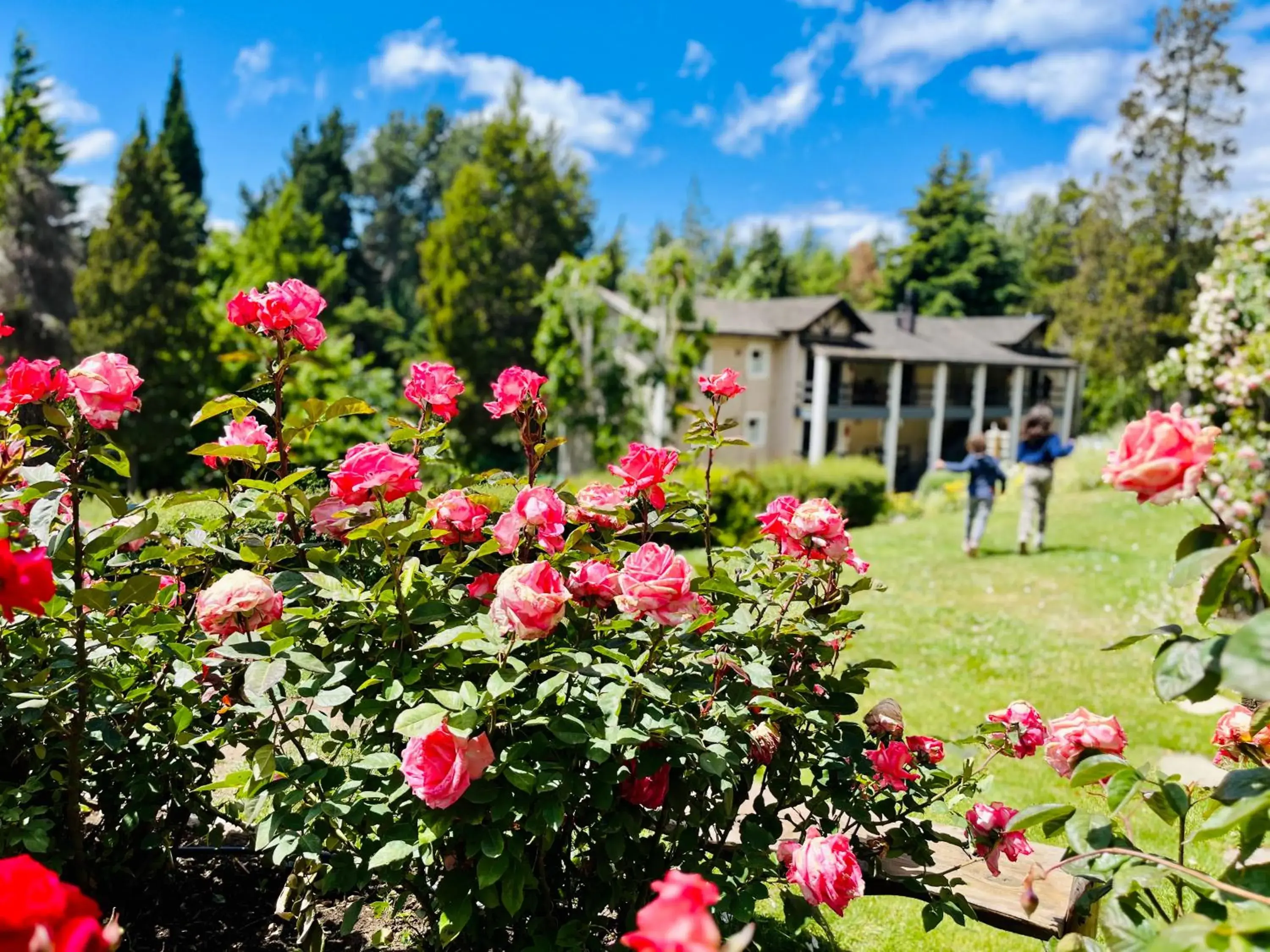 Property building in Aldea Andina Hotel&Spa Property building in Aldea Andina Hotel&Spa