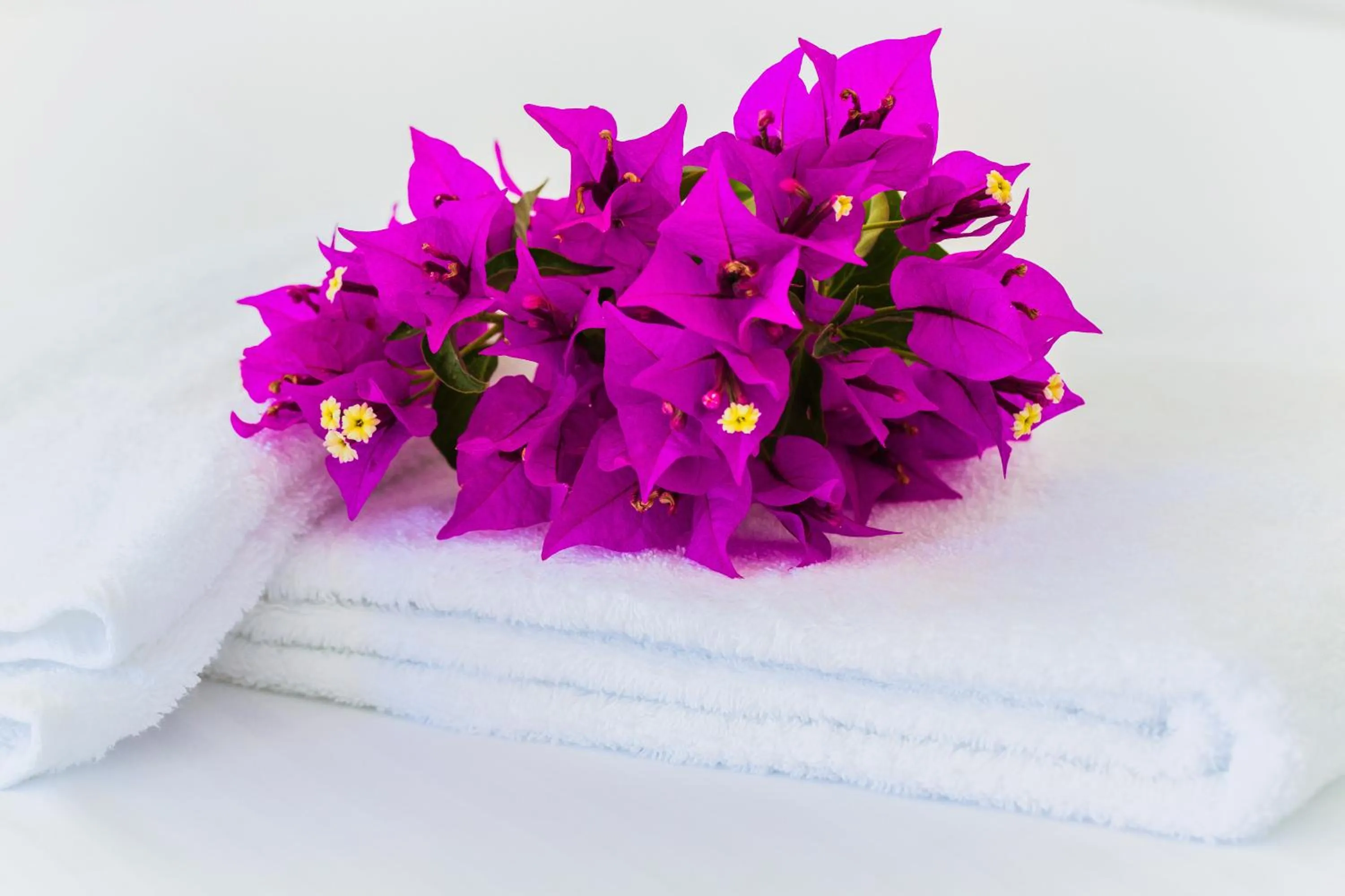 Decorative detail in Roses Beach