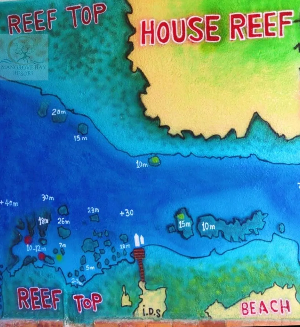 Natural landscape in Mangrove Bay Resort