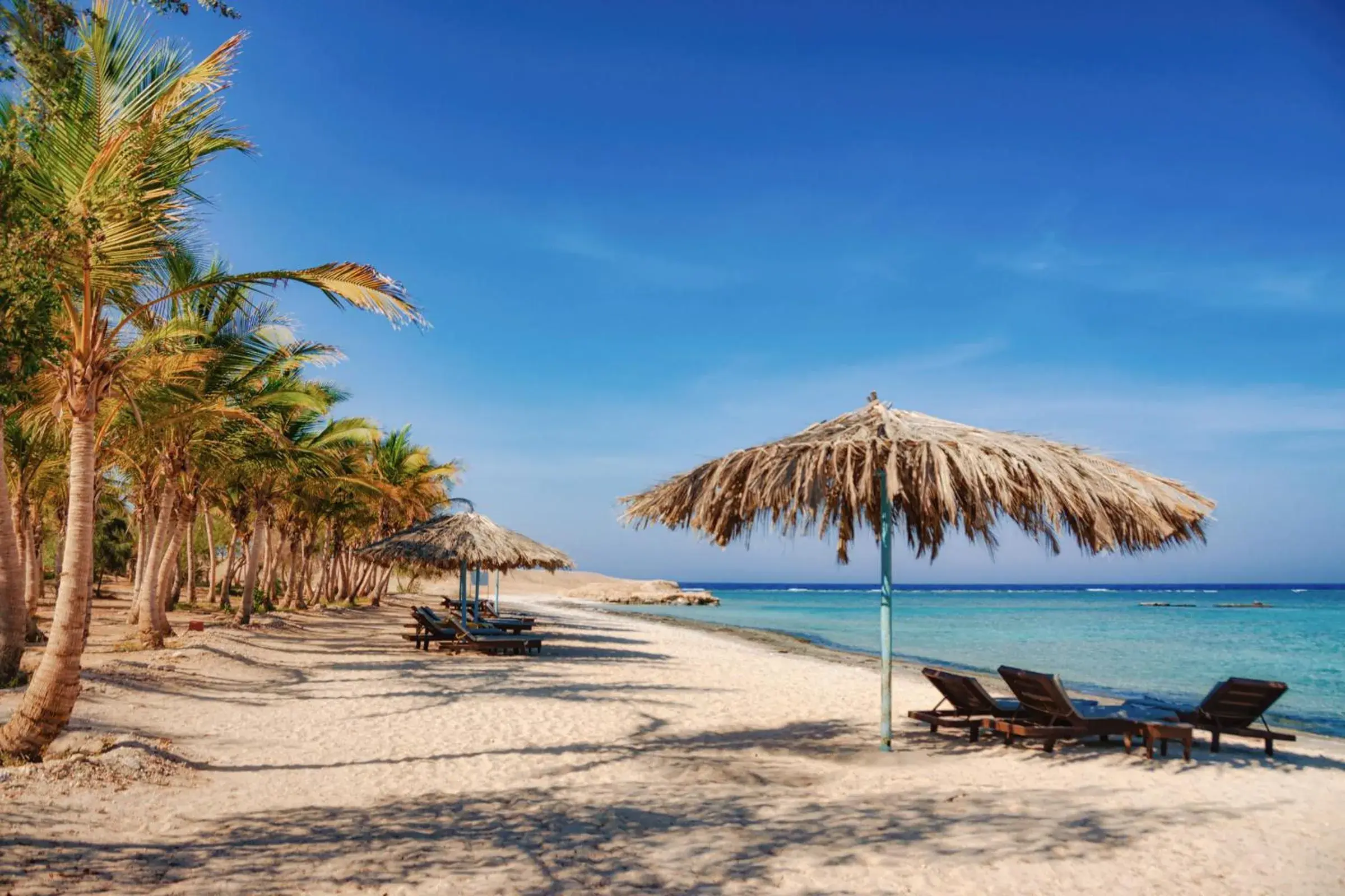 Mangrove Bay Resort Mangrove Bay Resort