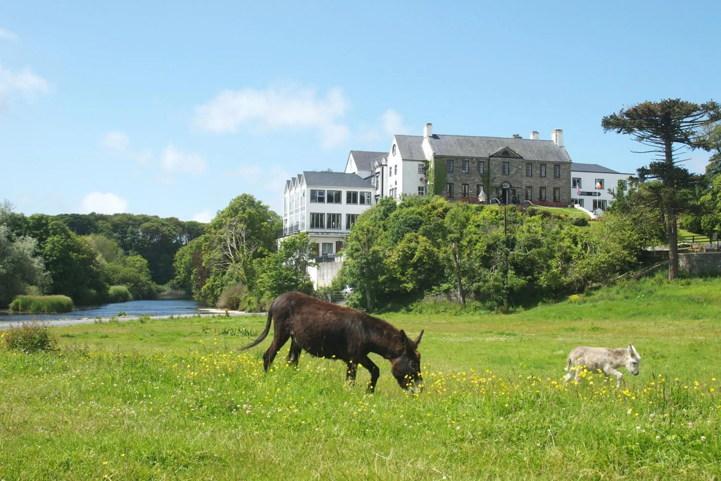 Property building in Falls Hotel & Spa Property building in Falls Hotel & Spa