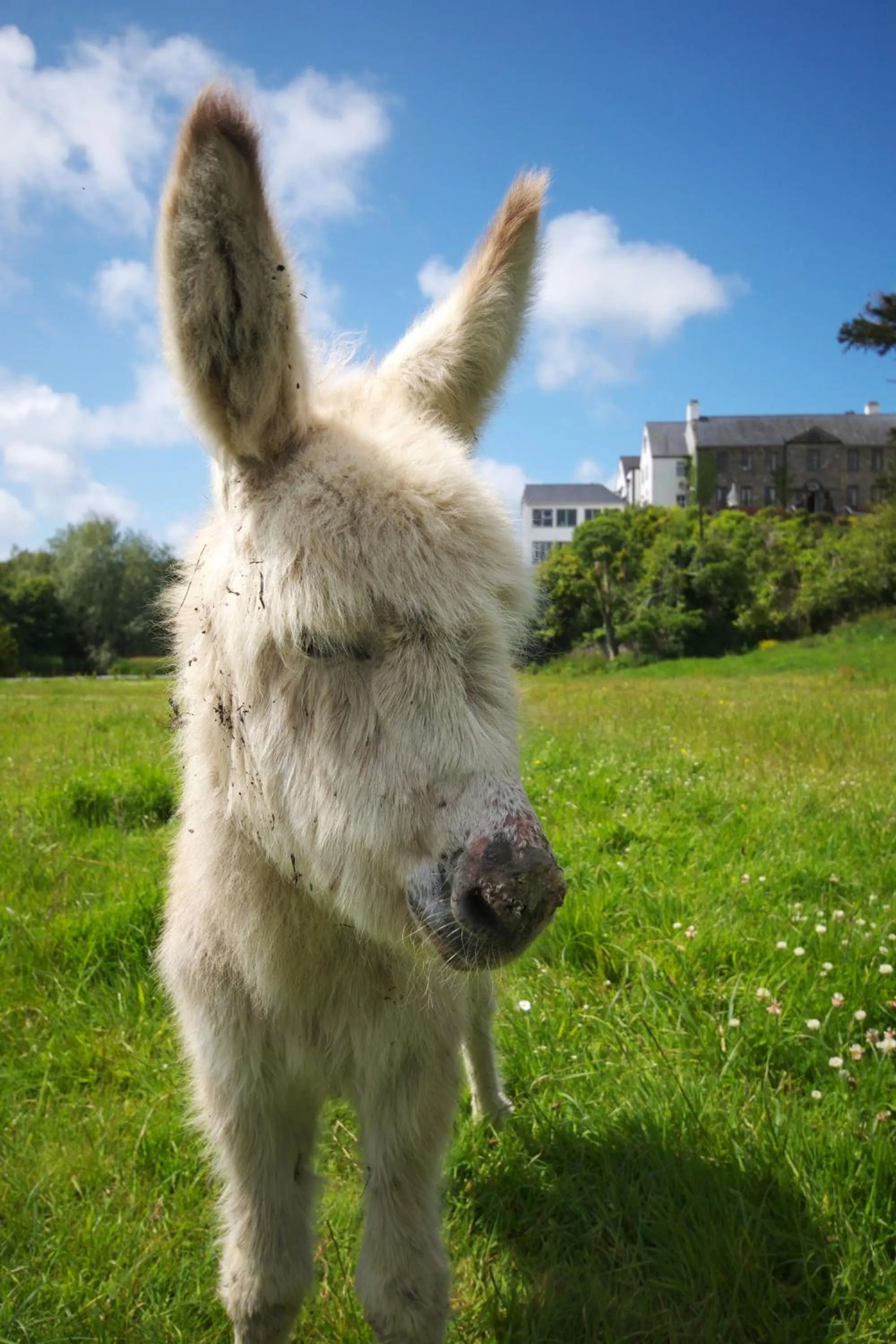 Garden in Falls Hotel & Spa