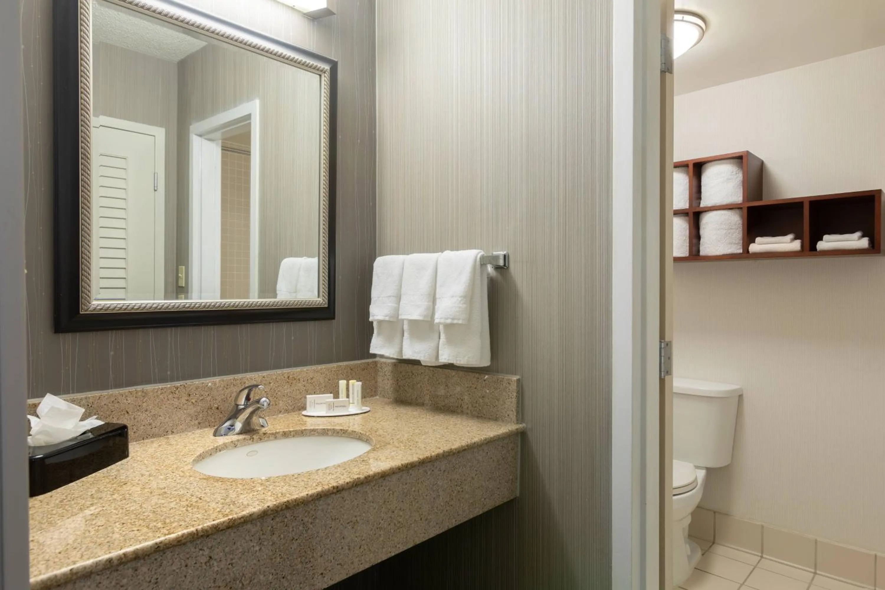 Bathroom in Courtyard by Marriott Atlanta Windy Hill/Ballpark