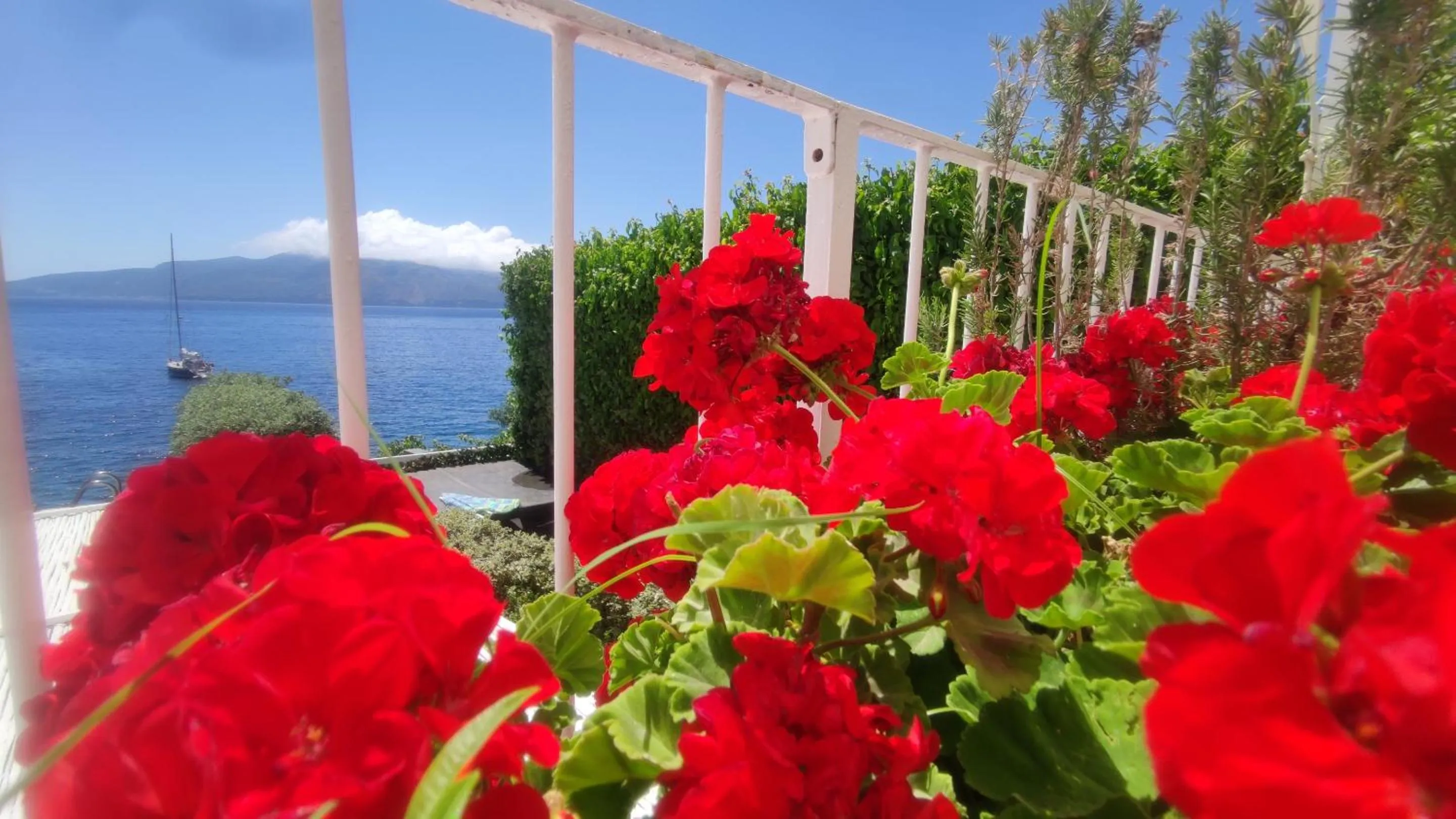 Garden in Halgoduria