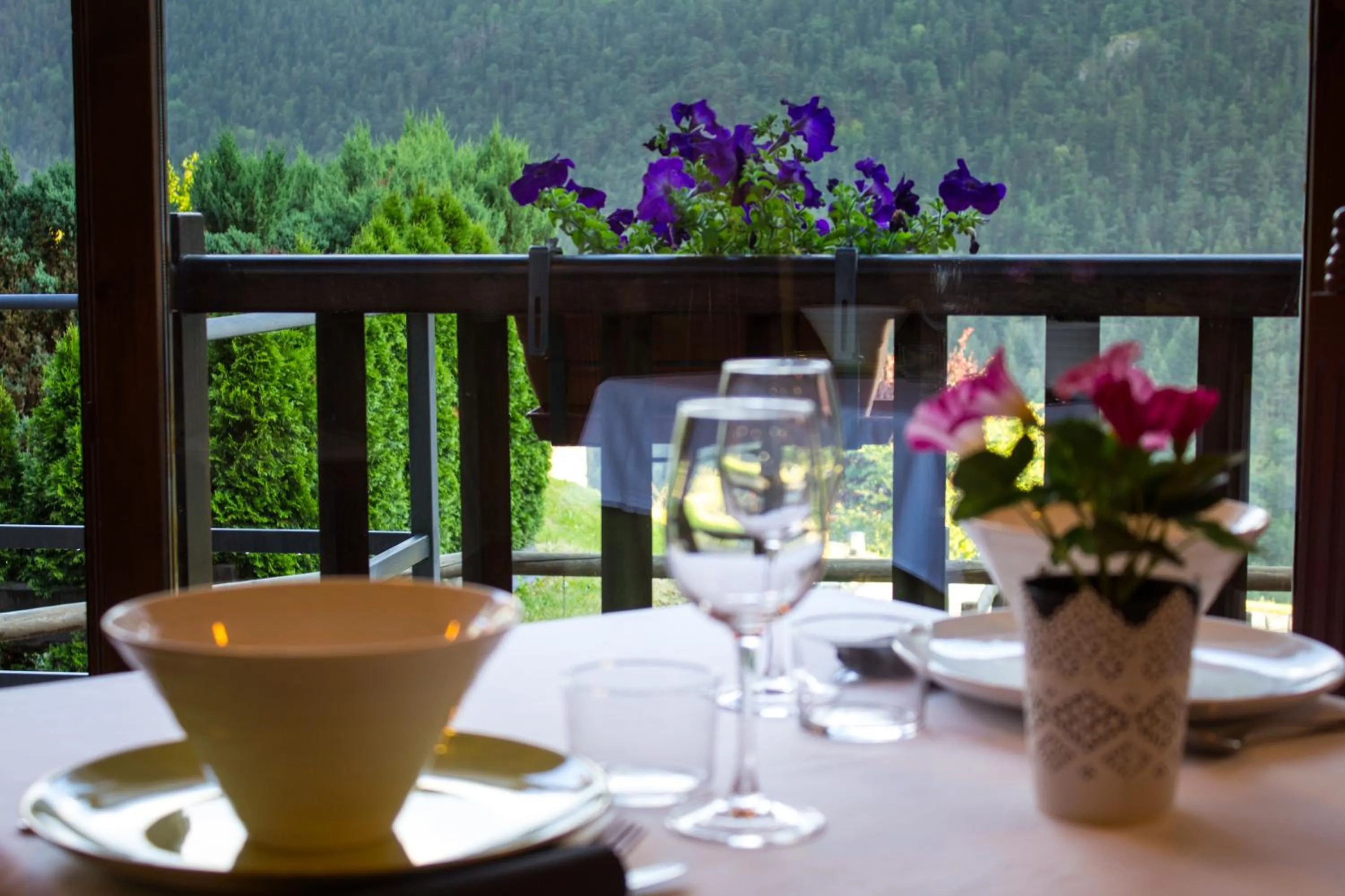 Food and drinks in Tierras De Arán