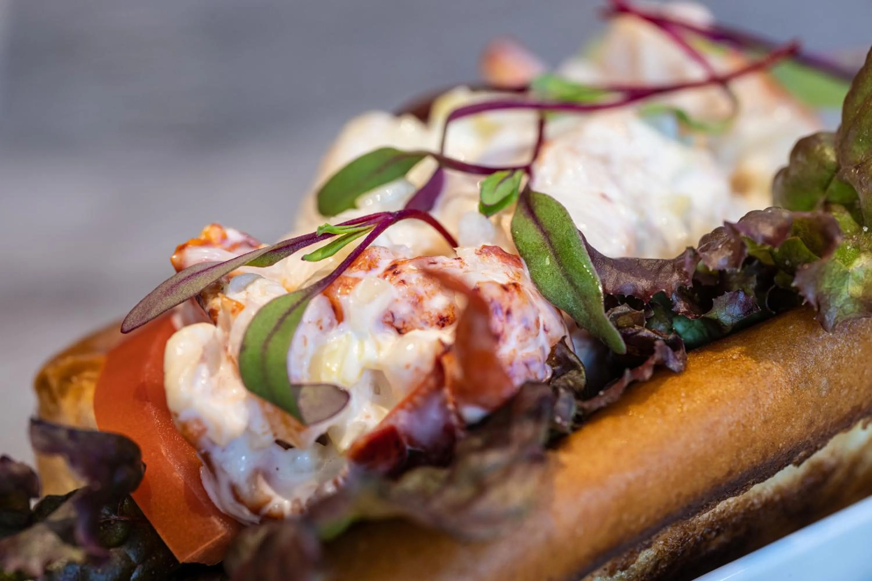 Food and drinks in Marriott Boston Quincy