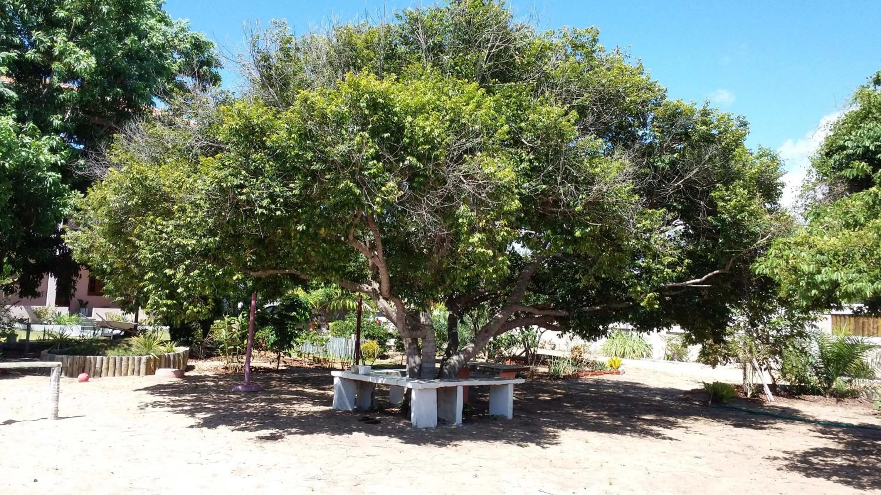 Garden view in Pousadinha Mangabeiras Familia e Grupos
