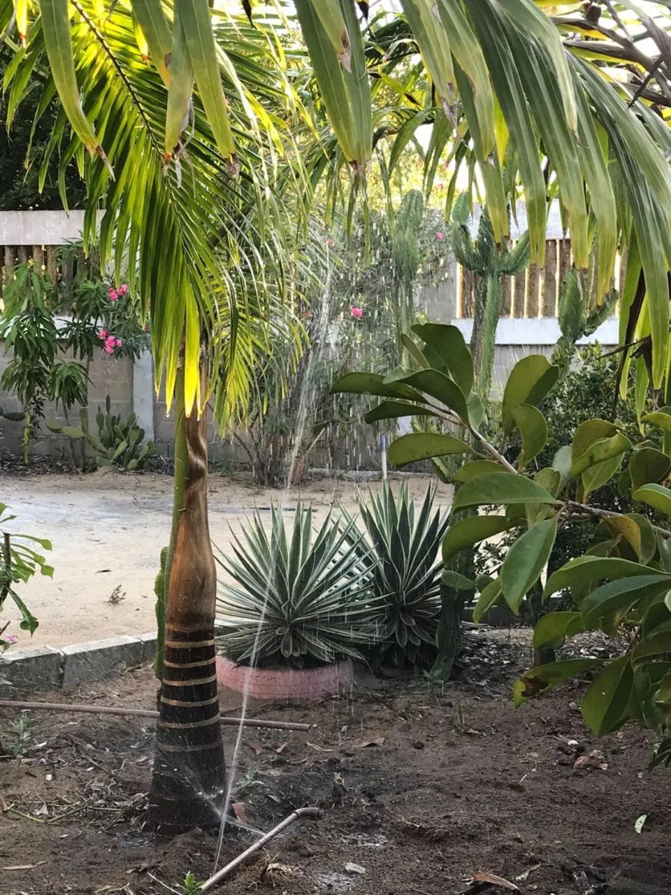Garden view in Pousadinha Mangabeiras Familia e Grupos