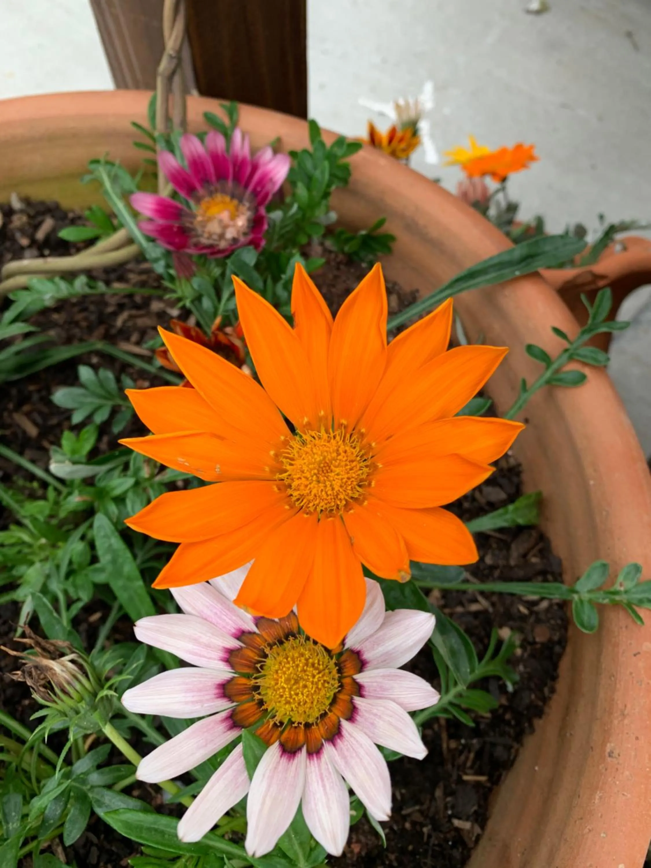 Decorative detail in Recanto da Sol