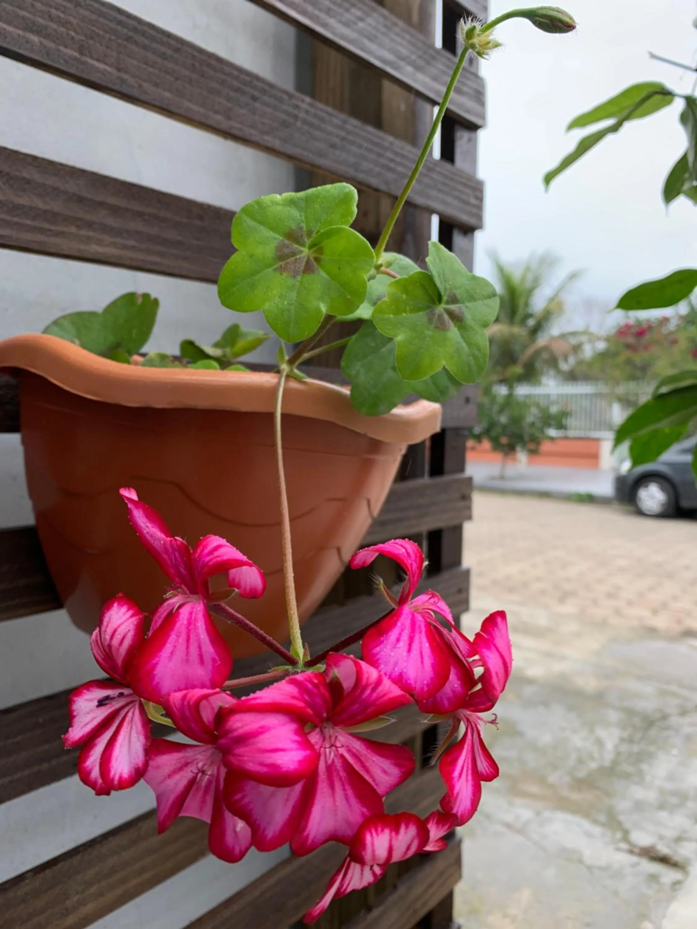 Patio in Recanto da Sol