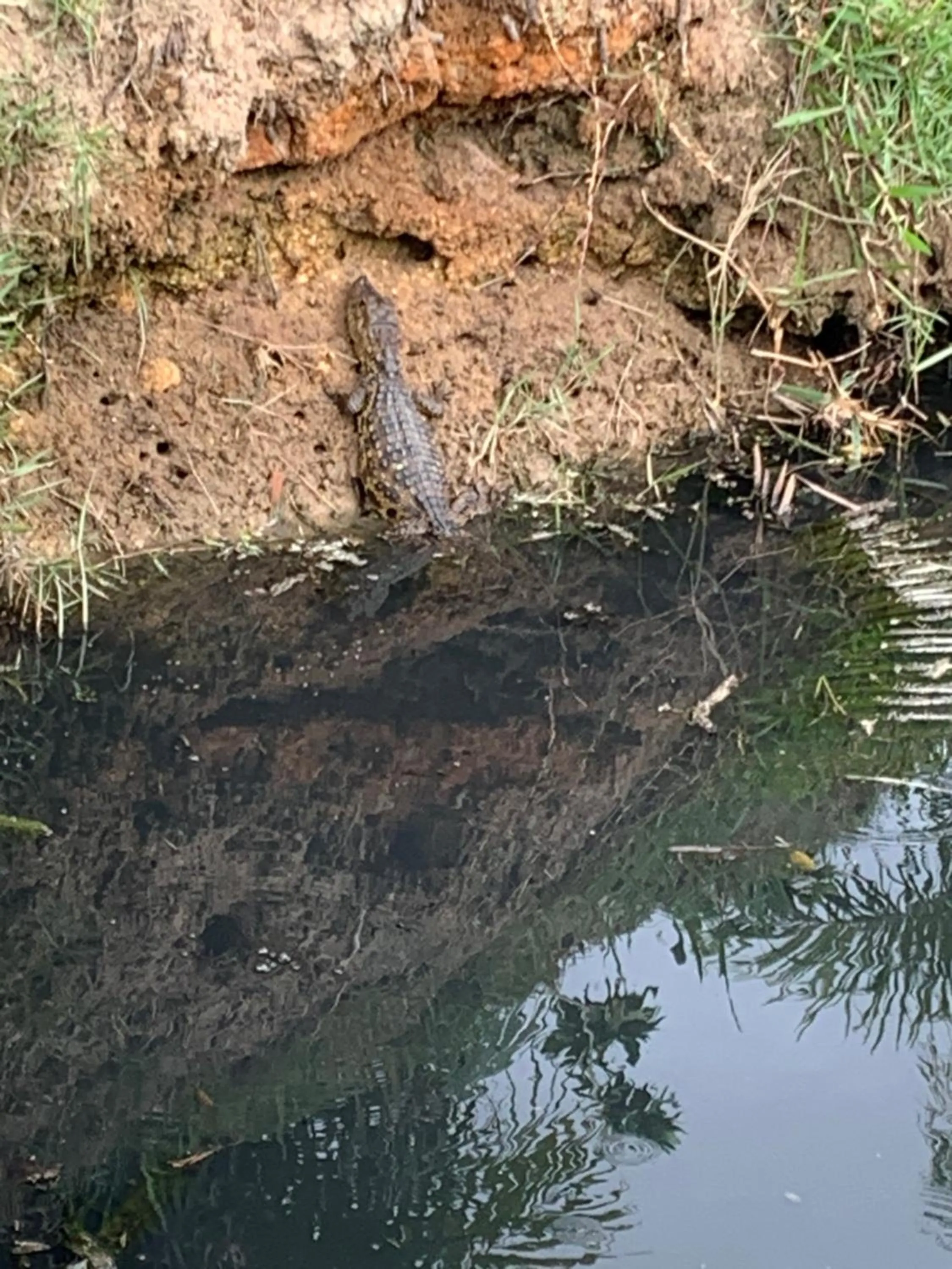Natural landscape in Recanto da Sol