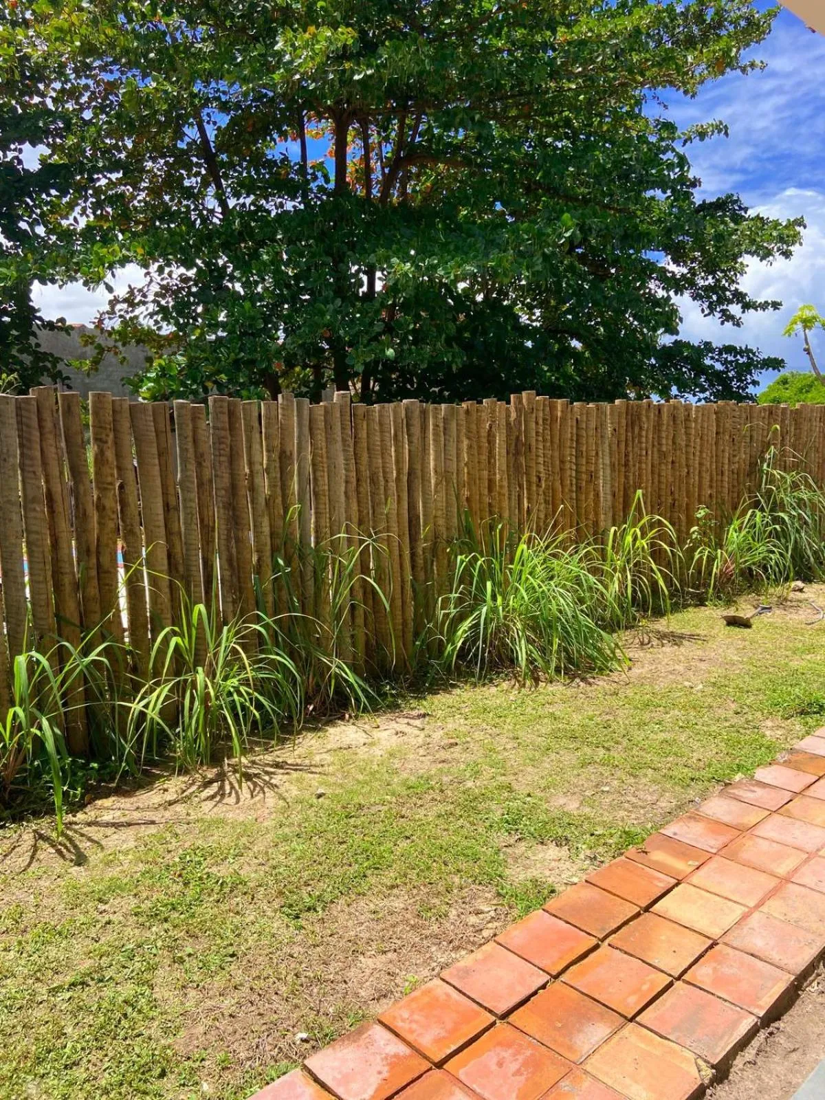 Garden in Pousada Barra Velha