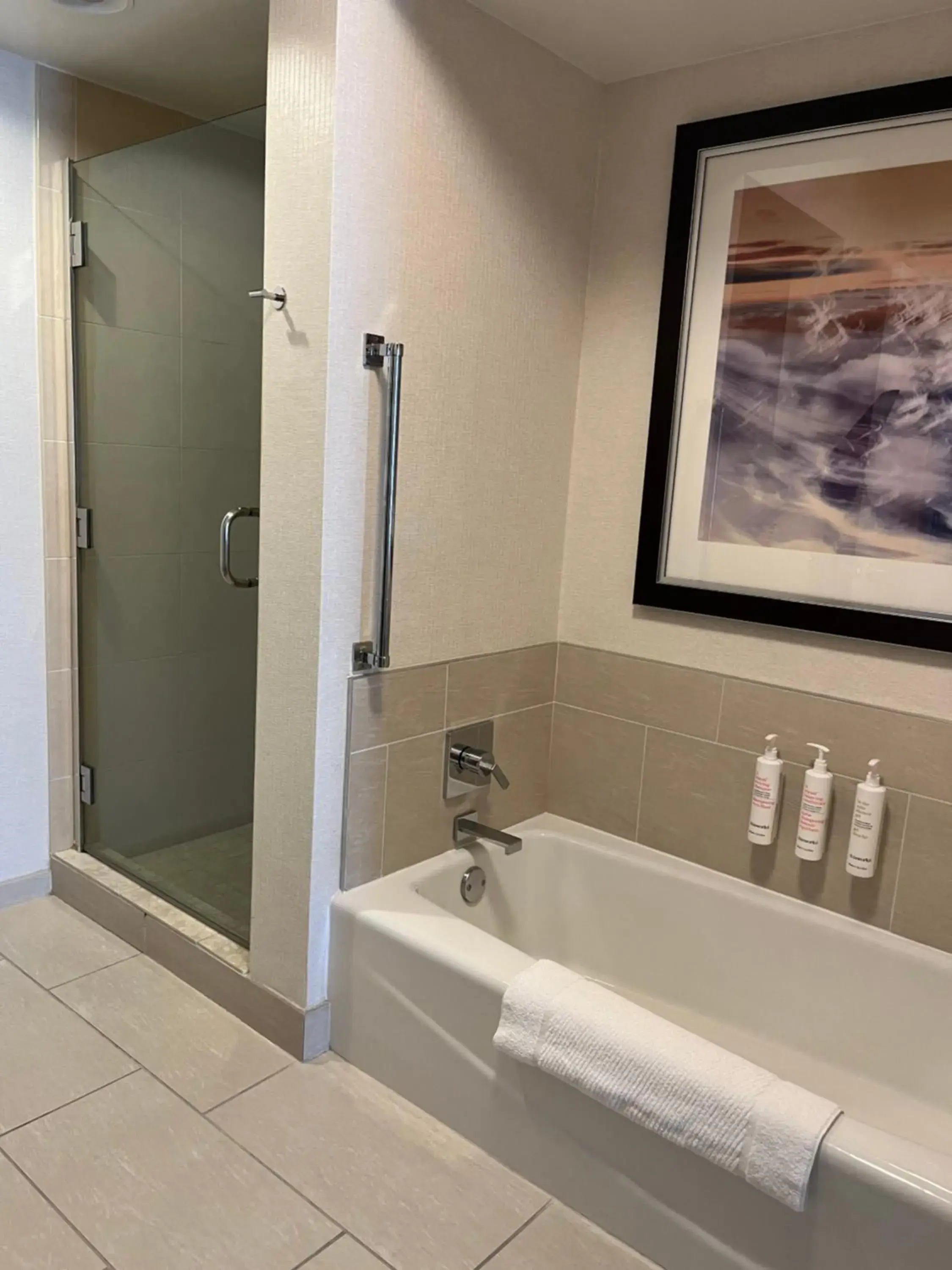 Executive One-Bedroom Suite in Chicago Marriott Suites O'Hare Executive One-Bedroom Suite in Chicago Marriott Suites O'Hare