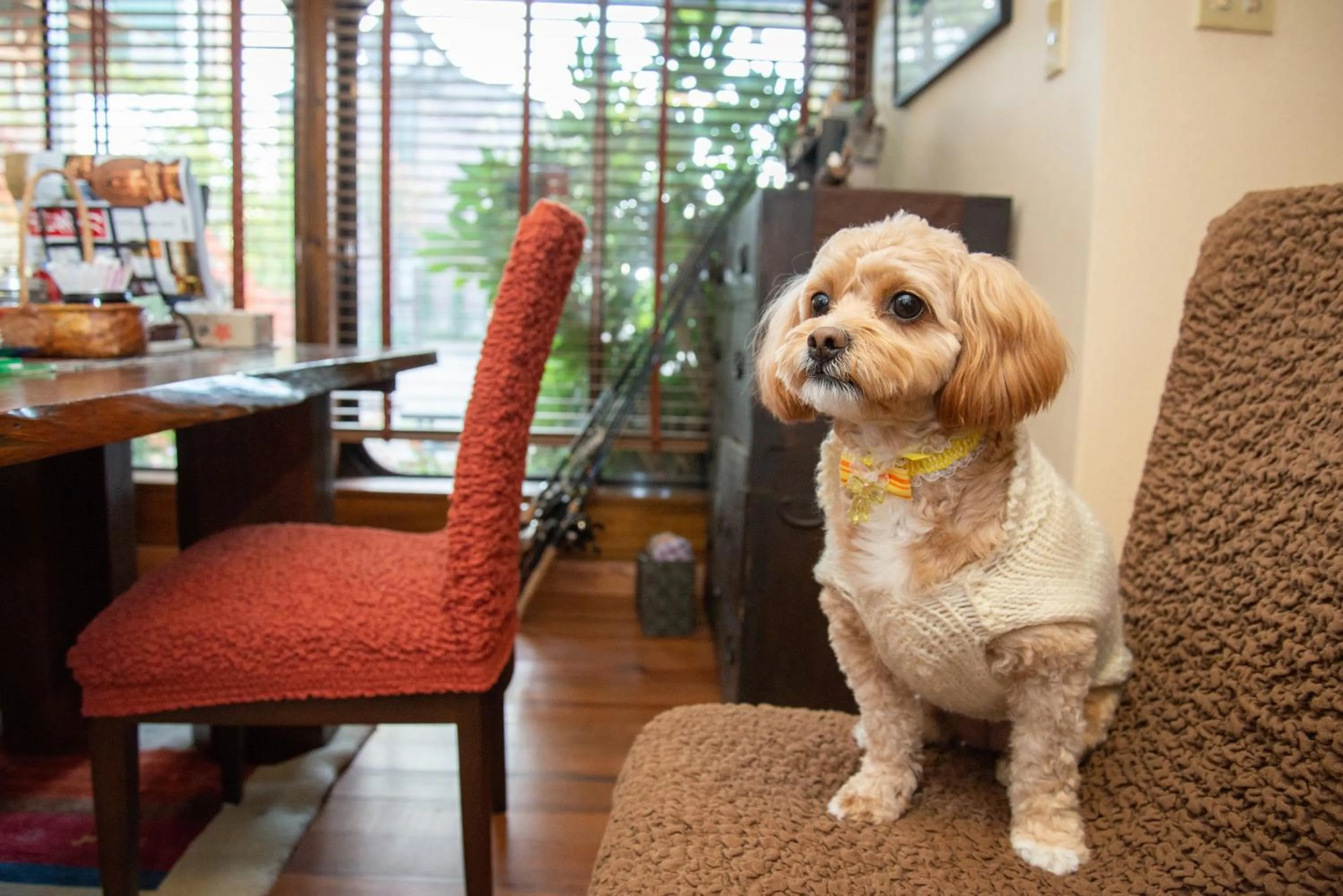 Staff in Azuma Ryokan