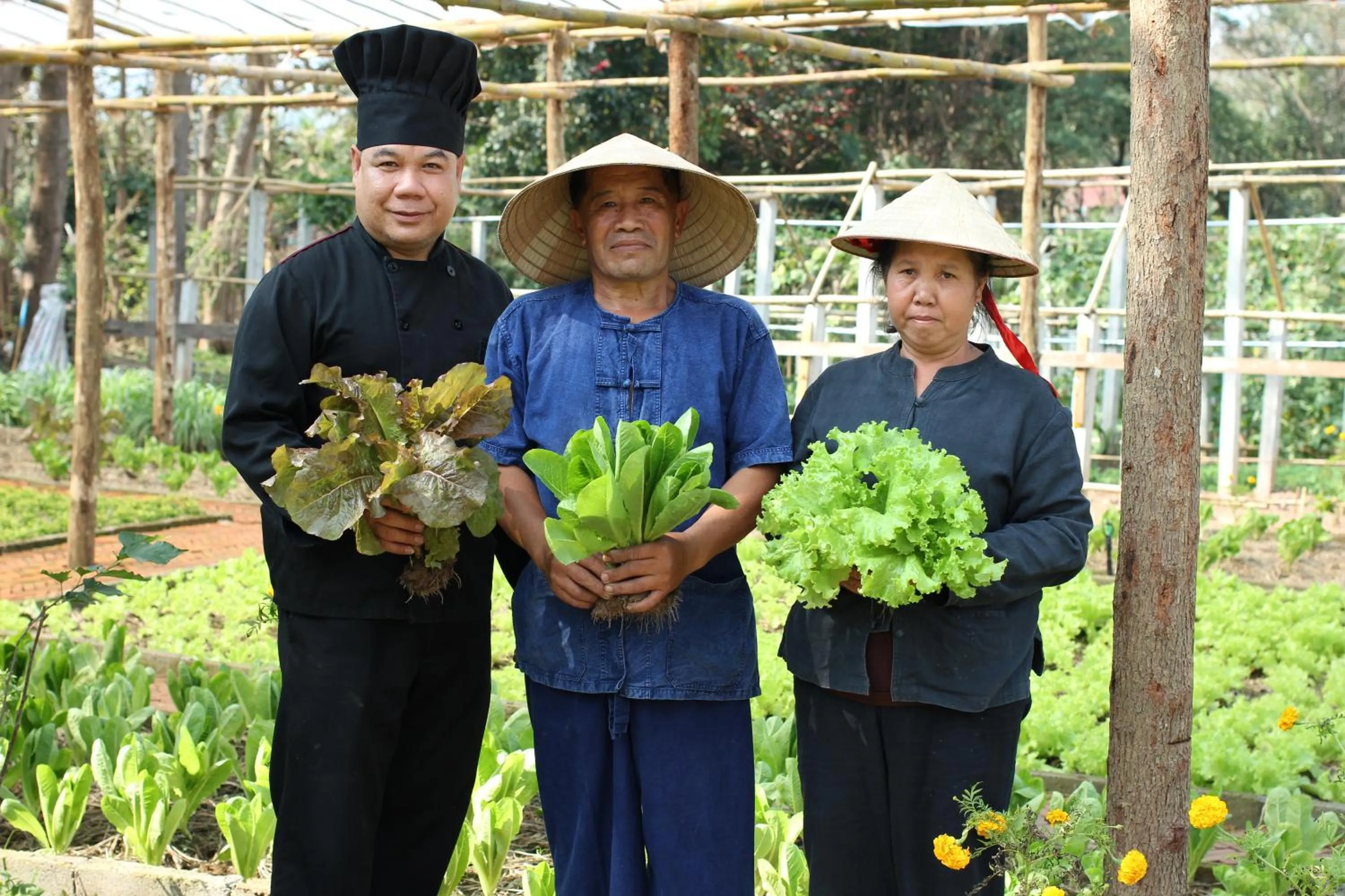 Garden in Le Palais Juliana