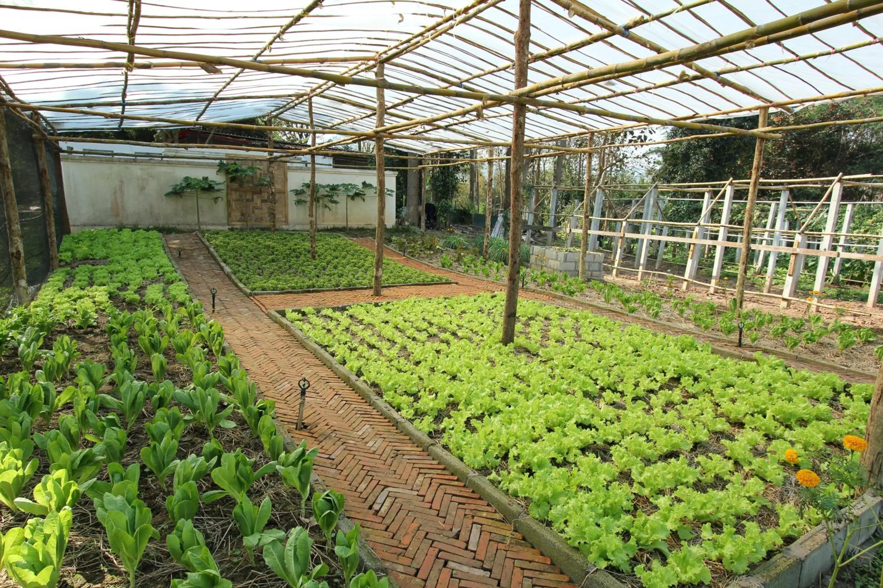 Garden in Le Palais Juliana