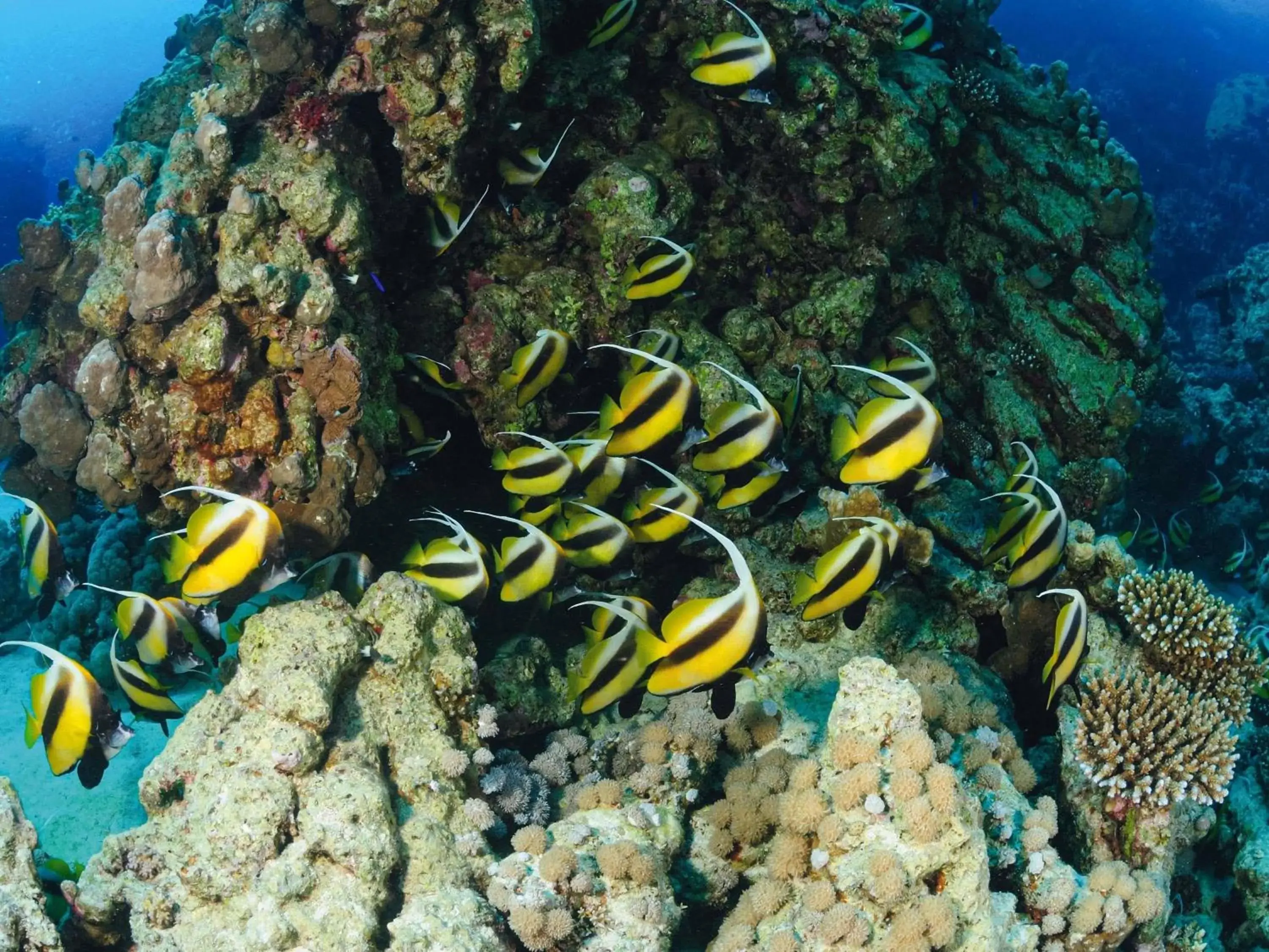 Property building in Movenpick Taba Resort & Spa Property building in Movenpick Taba Resort & Spa