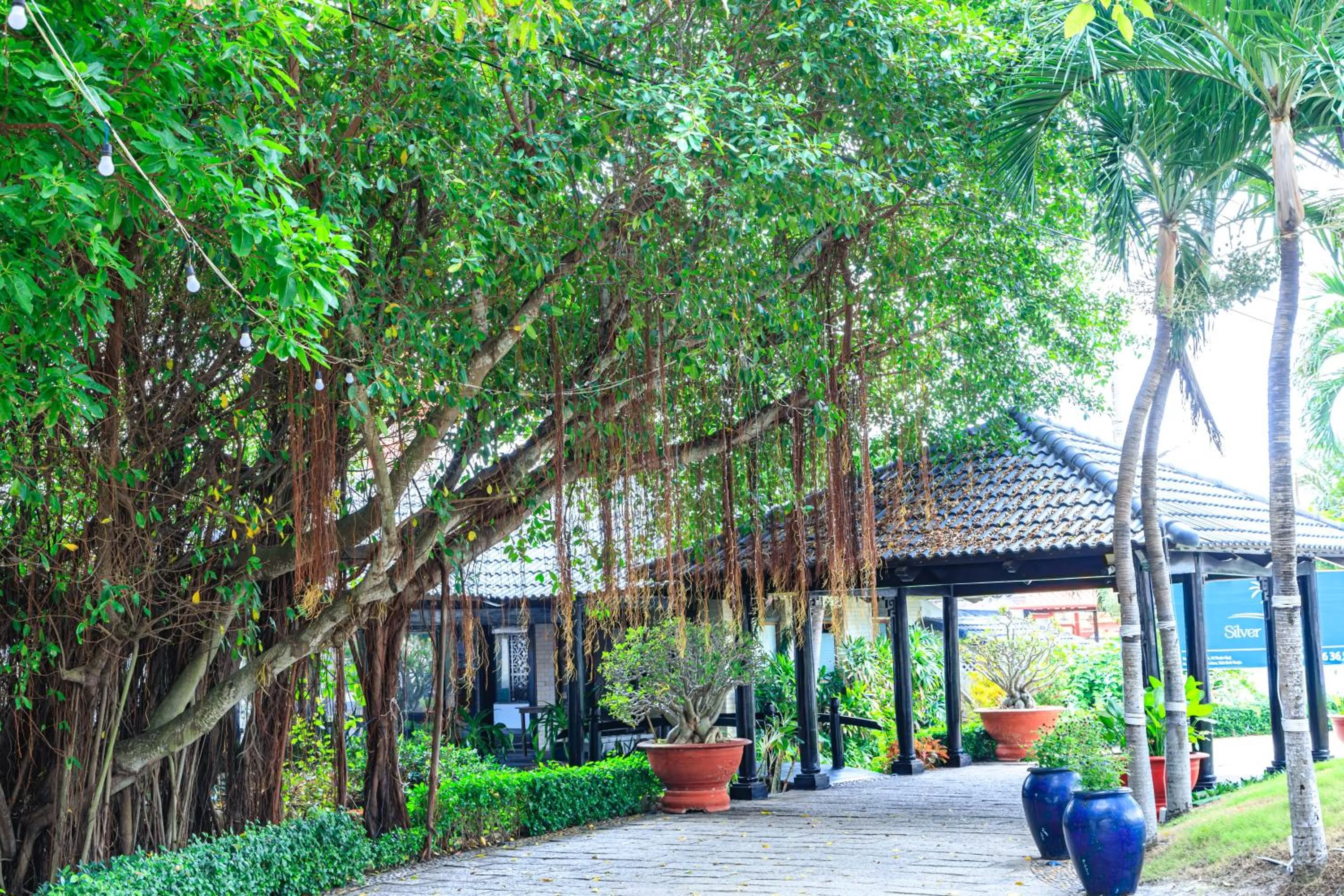 Garden in Silver Beach Resort Ke Ga