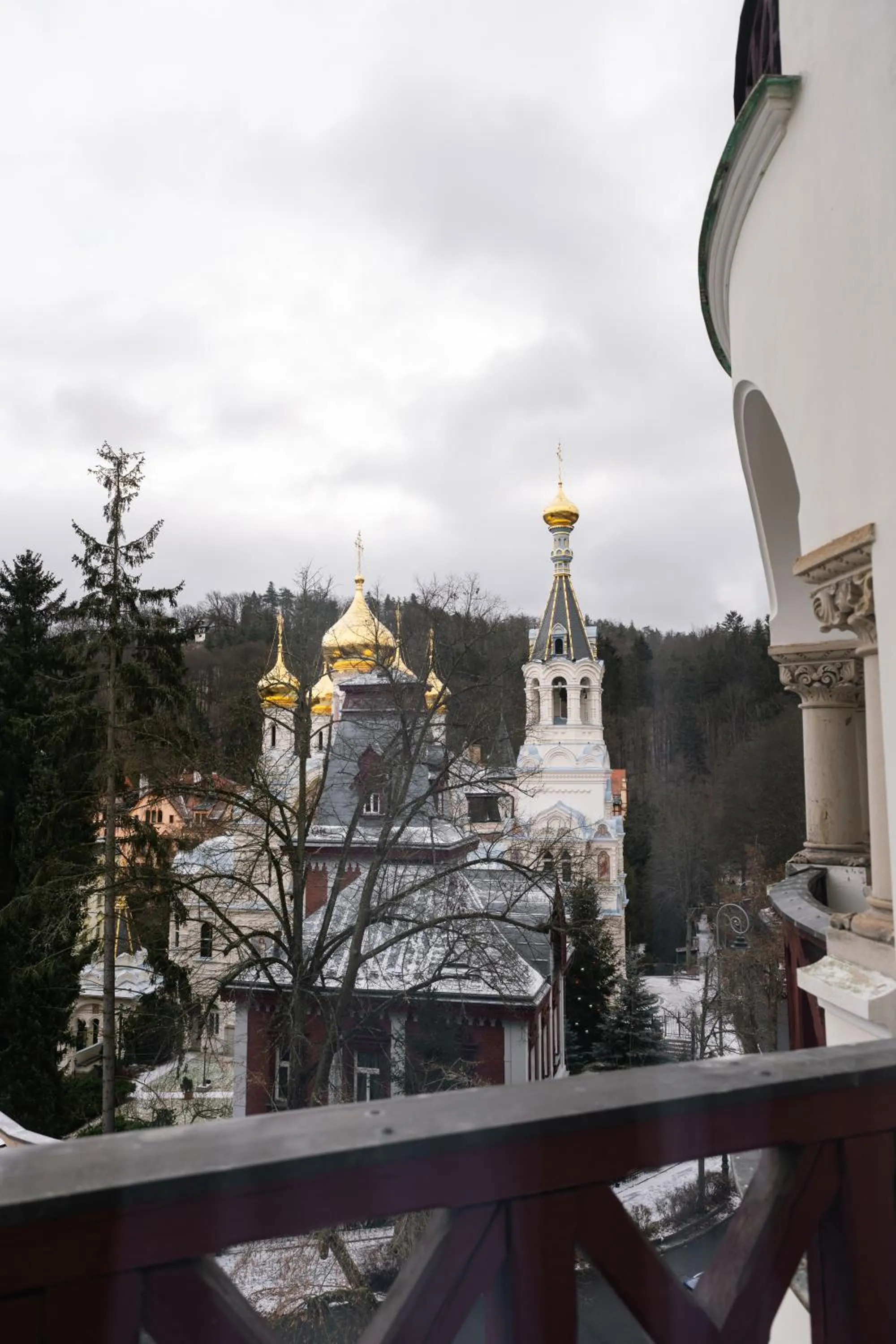 View (from property/room) in Spa Hotel Villa Smetana