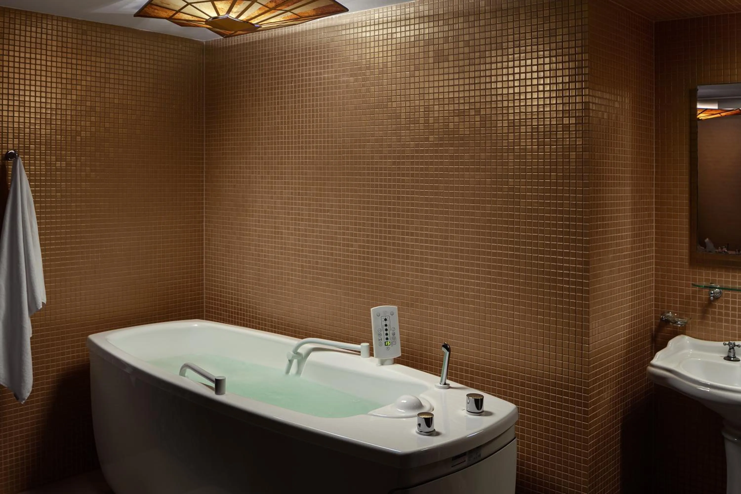 Spa and wellness centre/facilities in Spa Hotel Villa Smetana