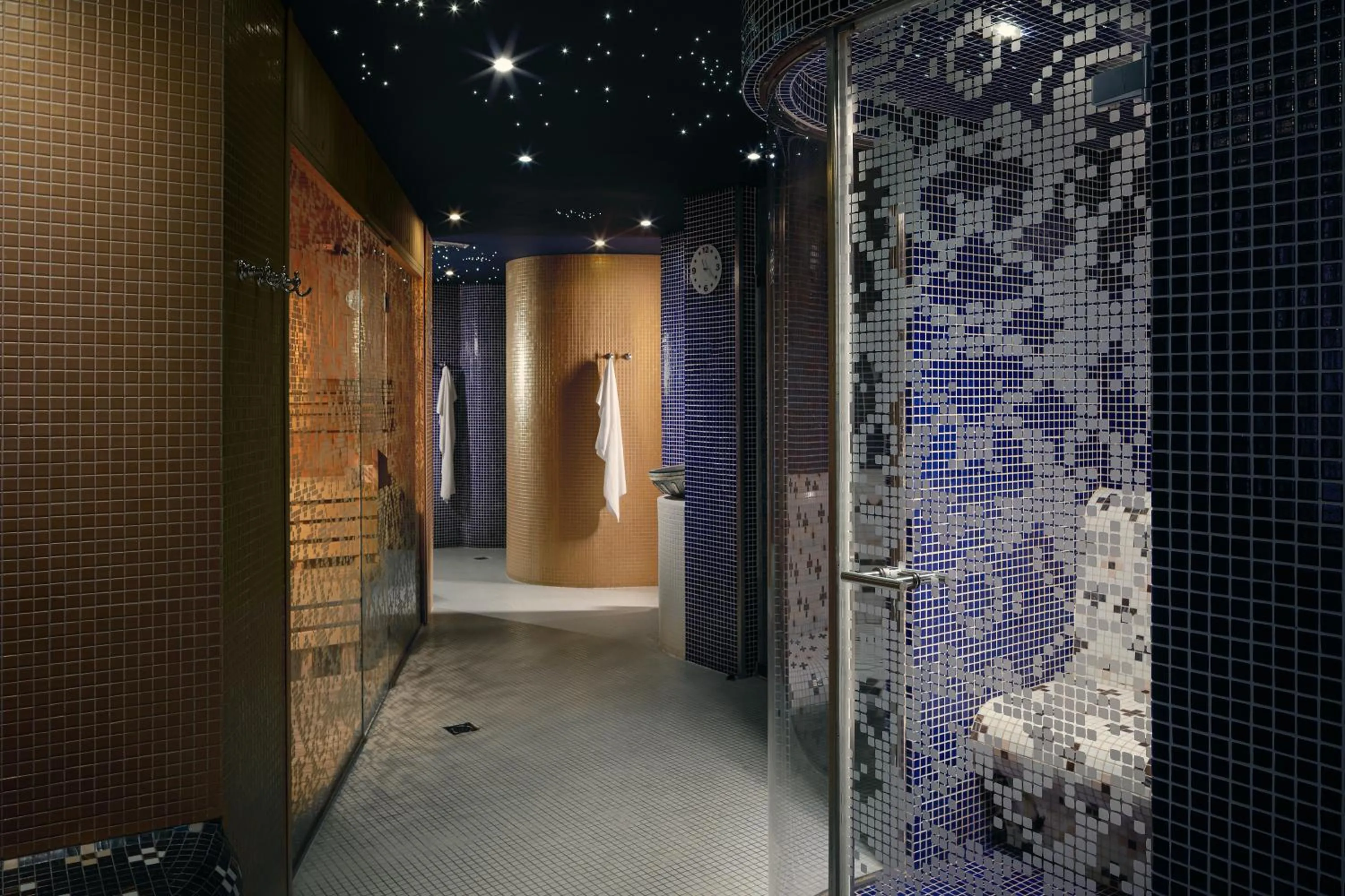 Spa and wellness centre/facilities in Spa Hotel Villa Smetana