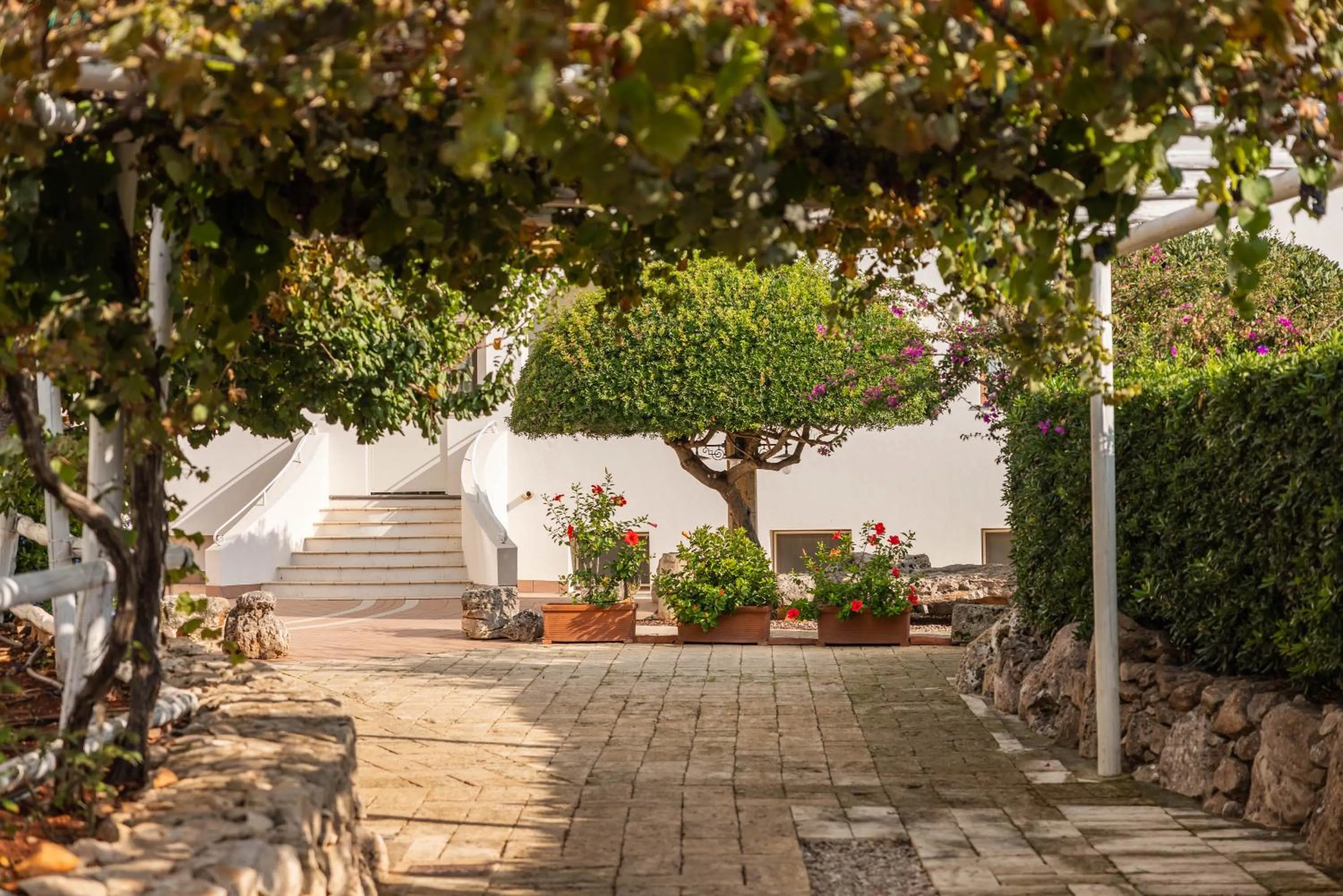 Property building in Hotel Montecallini - Adult Only 14