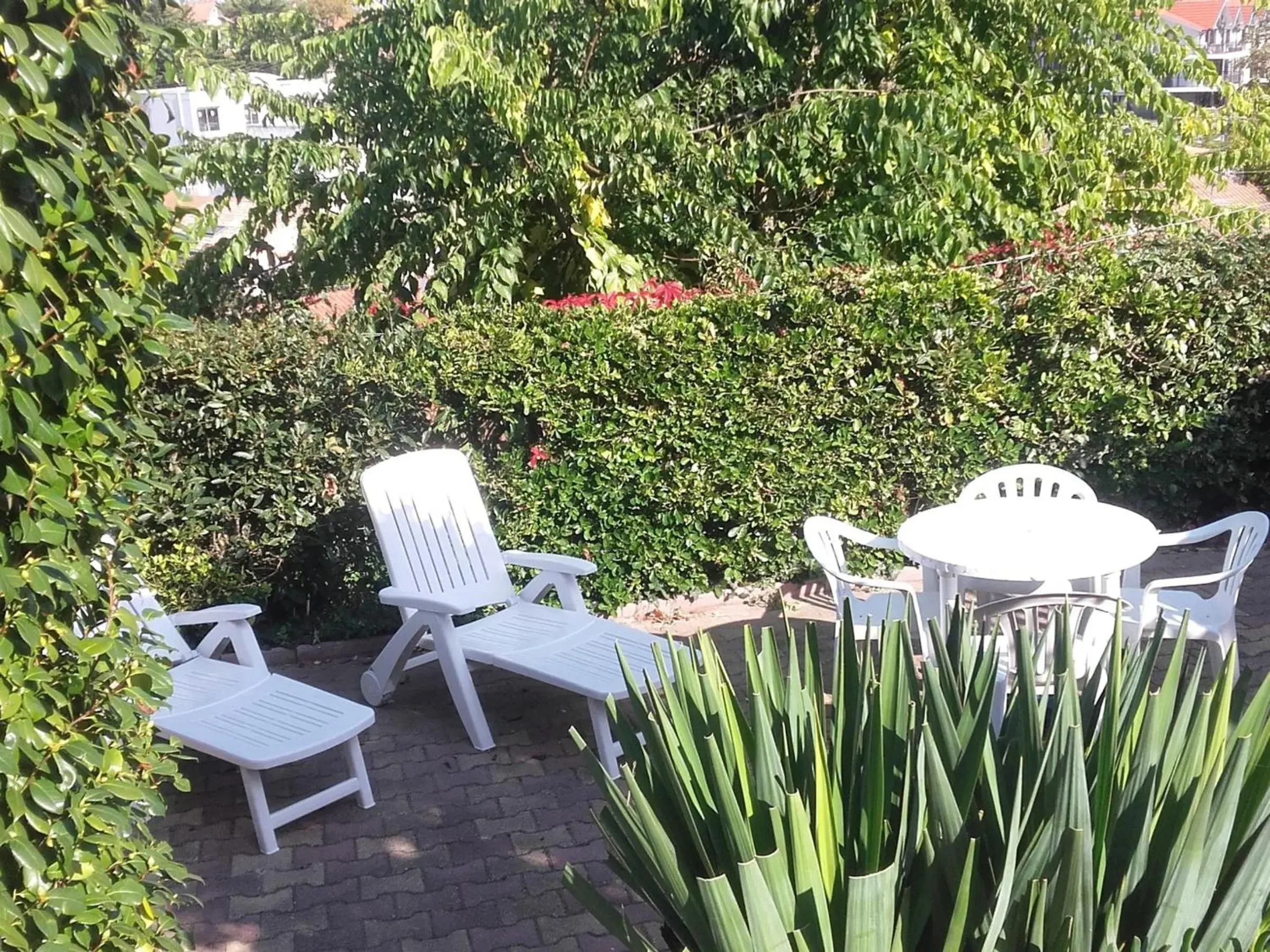 Appartement T2 avec Terrasse et BBQ, Proche Centre Arcachon et Plages - FR-1-319-85 Appartement T2 avec Terrasse et BBQ, Proche Centre Arcachon et Plages - FR-1-319-85