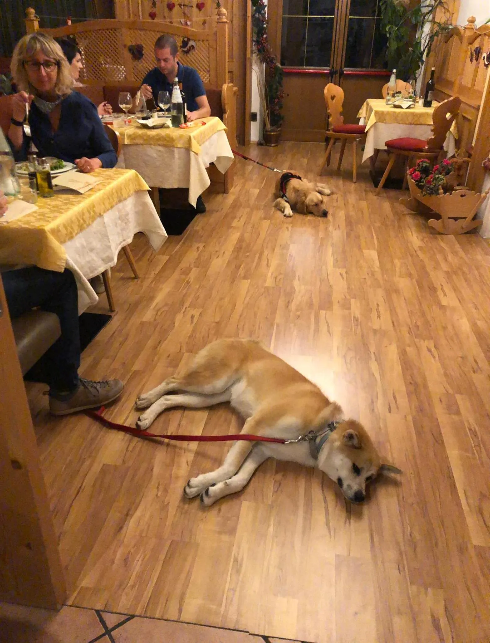 Restaurant/places to eat in Alpine Touring Hotel-petfriendly