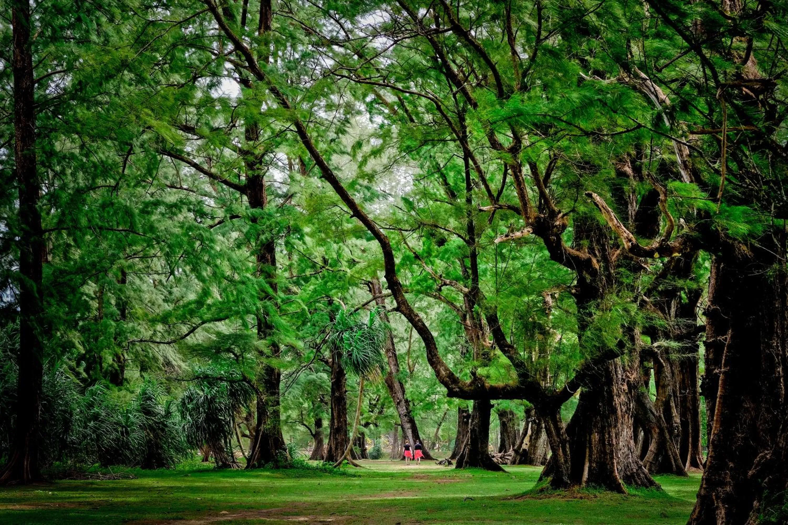 Activities in Naiyang Park Resort - SHA Extra Plus