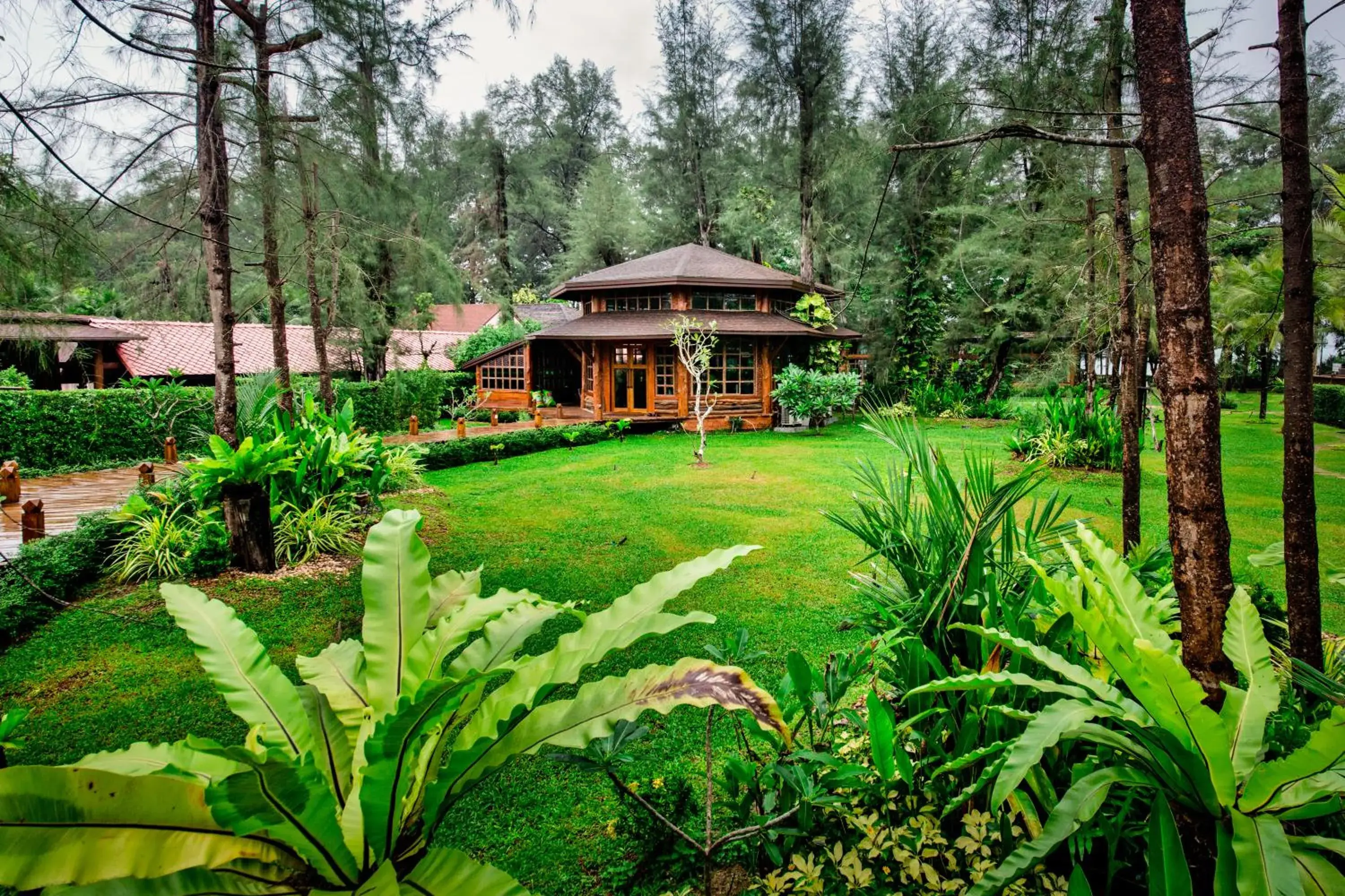 Garden view in Naiyang Park Resort - SHA Extra Plus Garden view in Naiyang Park Resort - SHA Extra Plus