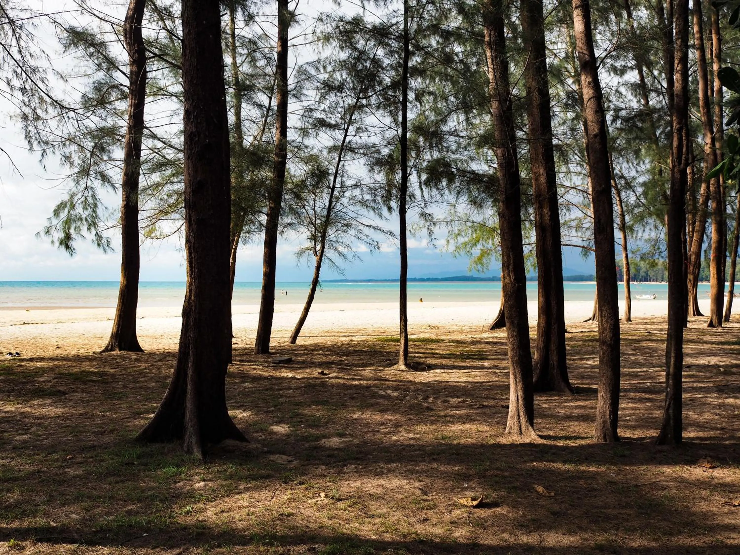 Property building in Naiyang Park Resort - SHA Extra Plus