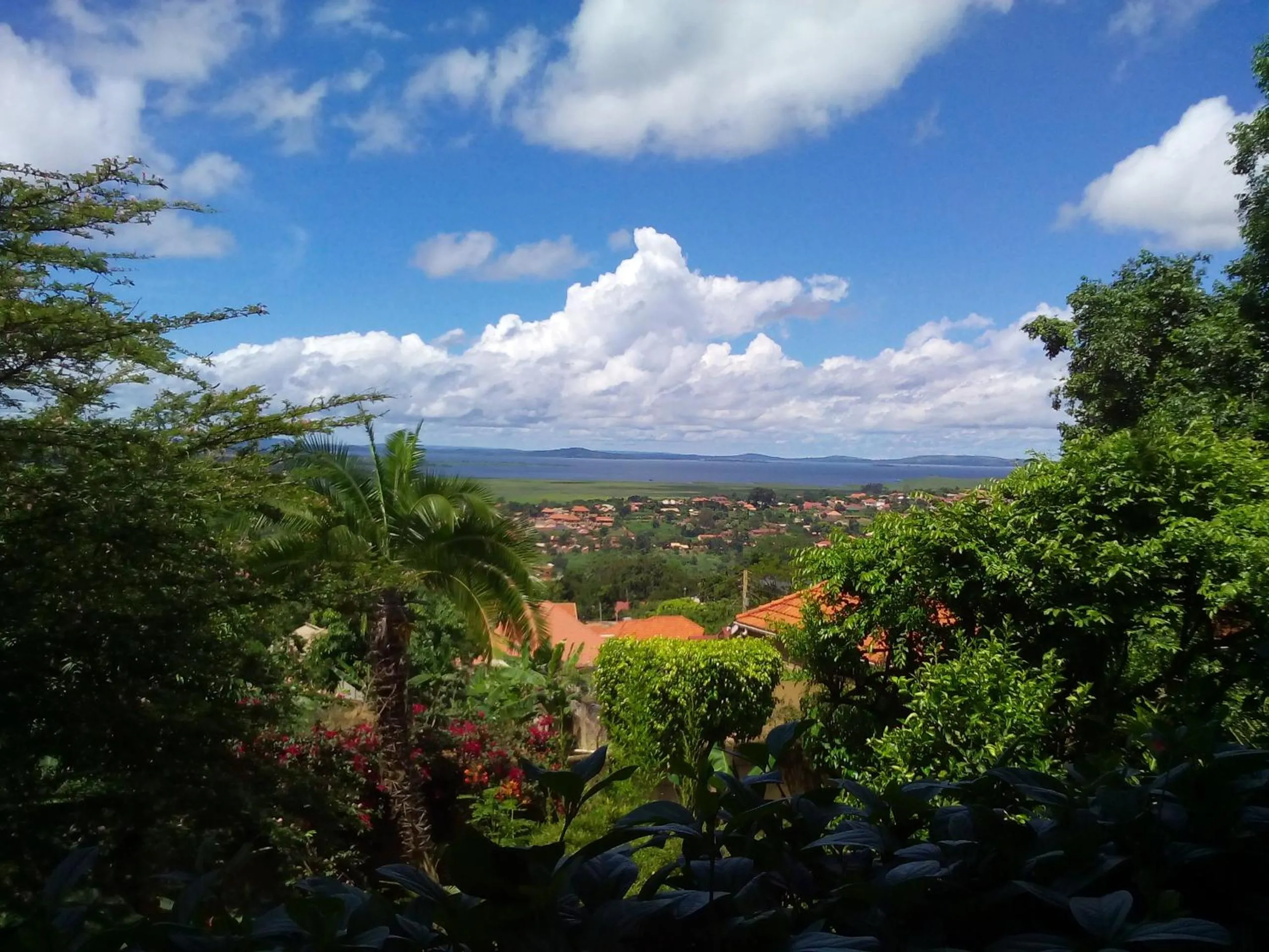 Natural landscape in Retreat Guesthouse Kitende