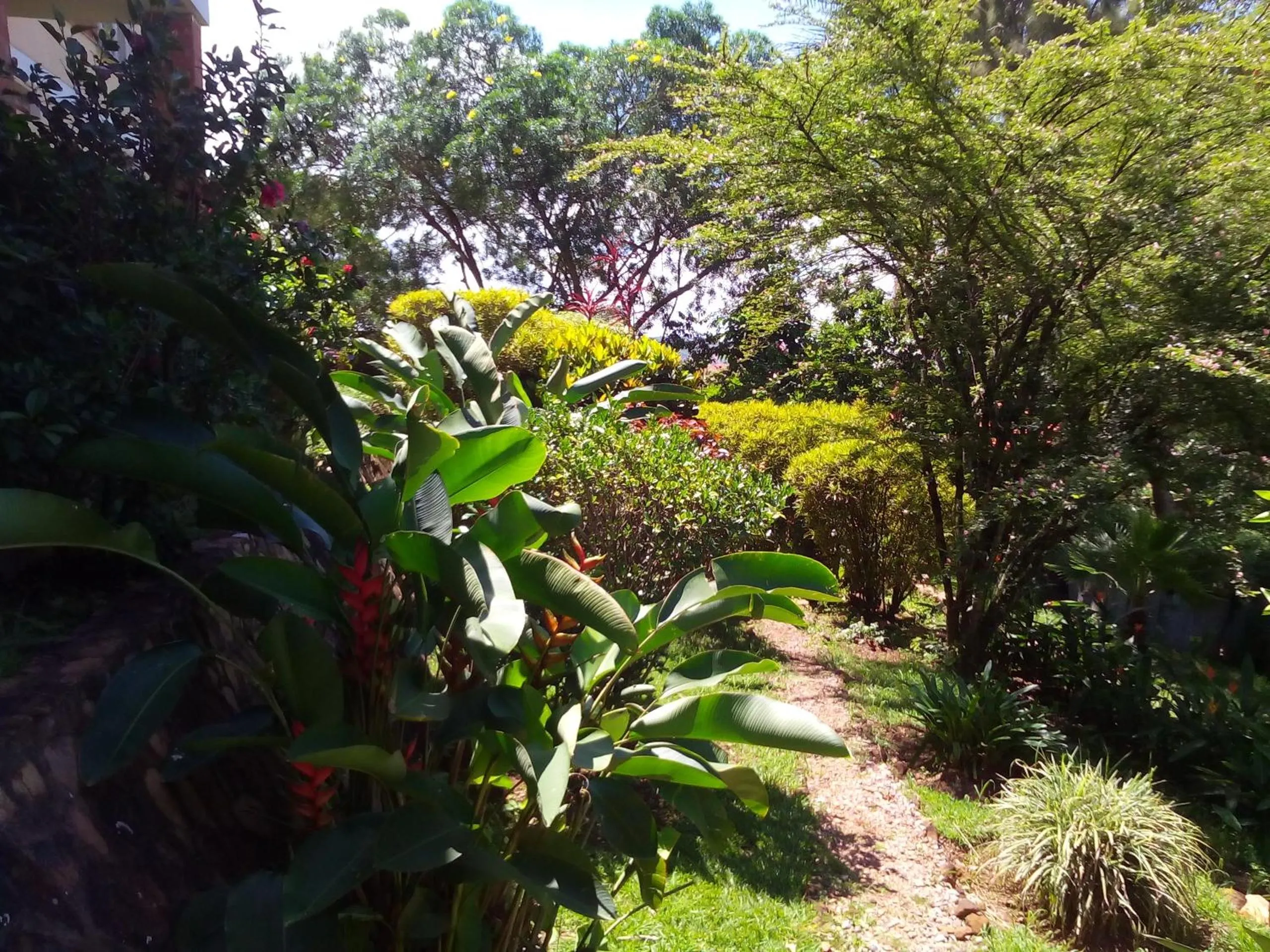 Natural landscape in Retreat Guesthouse Kitende