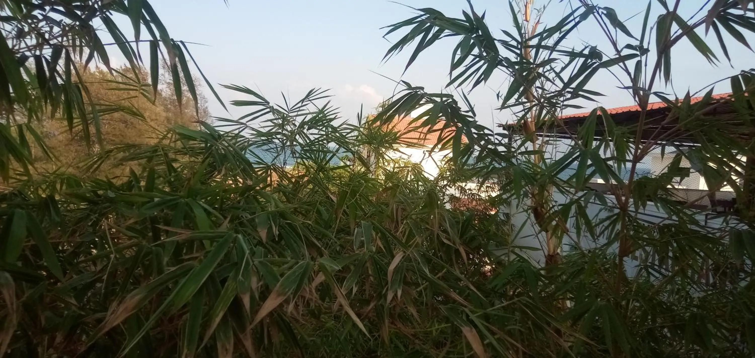 Meya Beach Walk Hotel